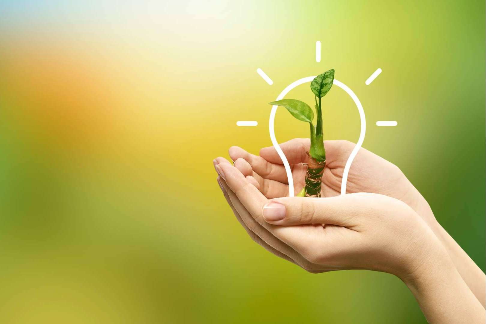 Multienergía Verde consolida su crecimiento y estrategia a largo plazo siendo empresa Cepyme 500 por tercer año