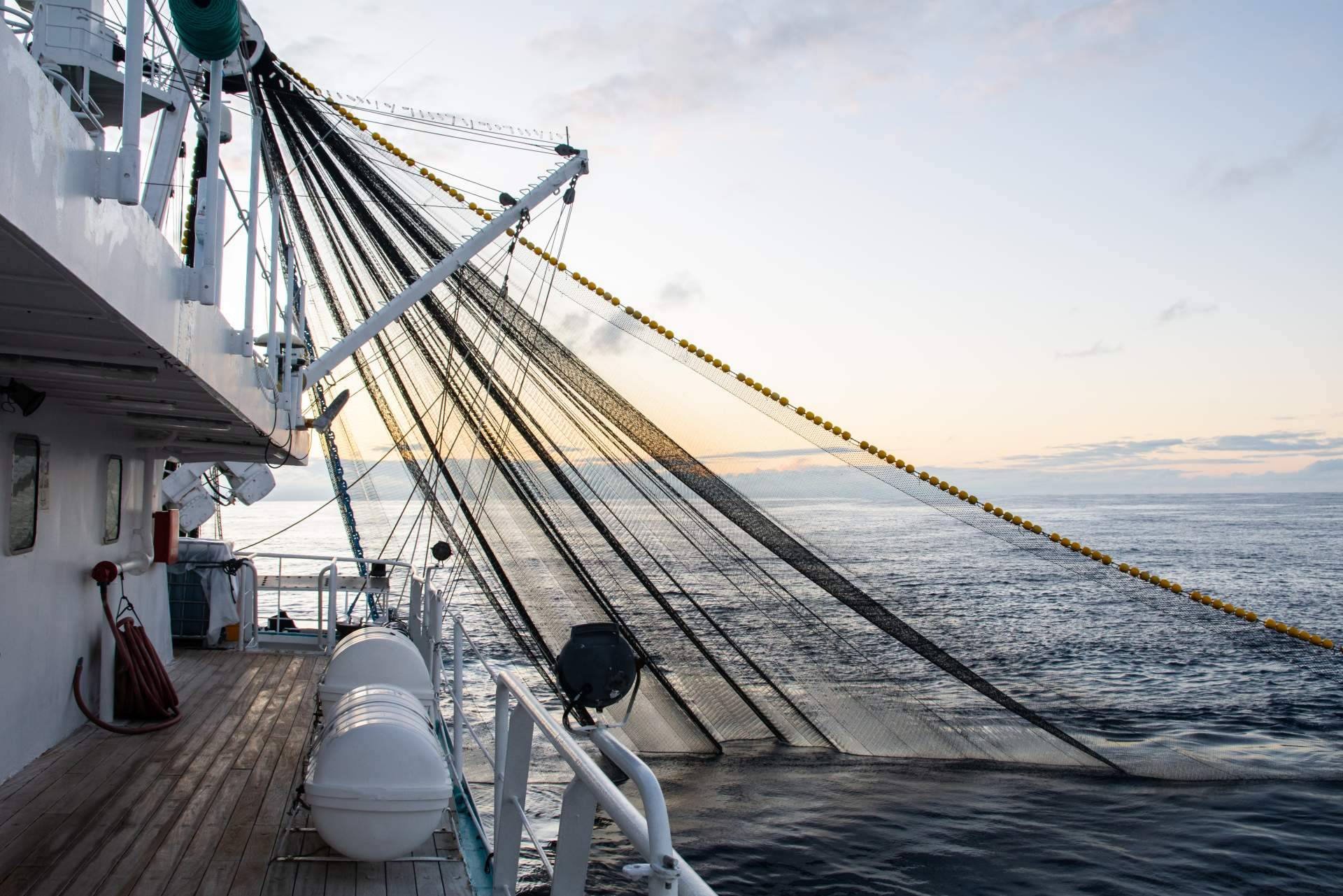 ¿Cómo escoger el seguro para barco adecuado?, con elsegurodemibarco.com