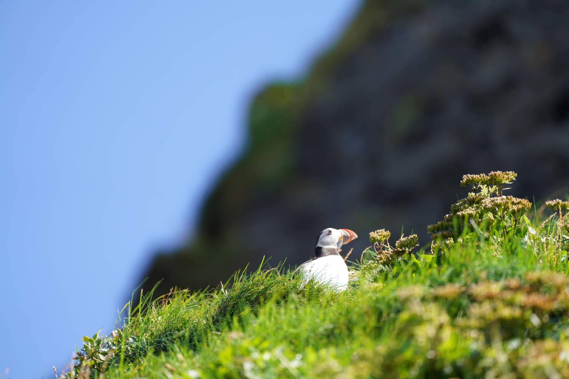 Aldu Experience, viajes personalizados a Islandia