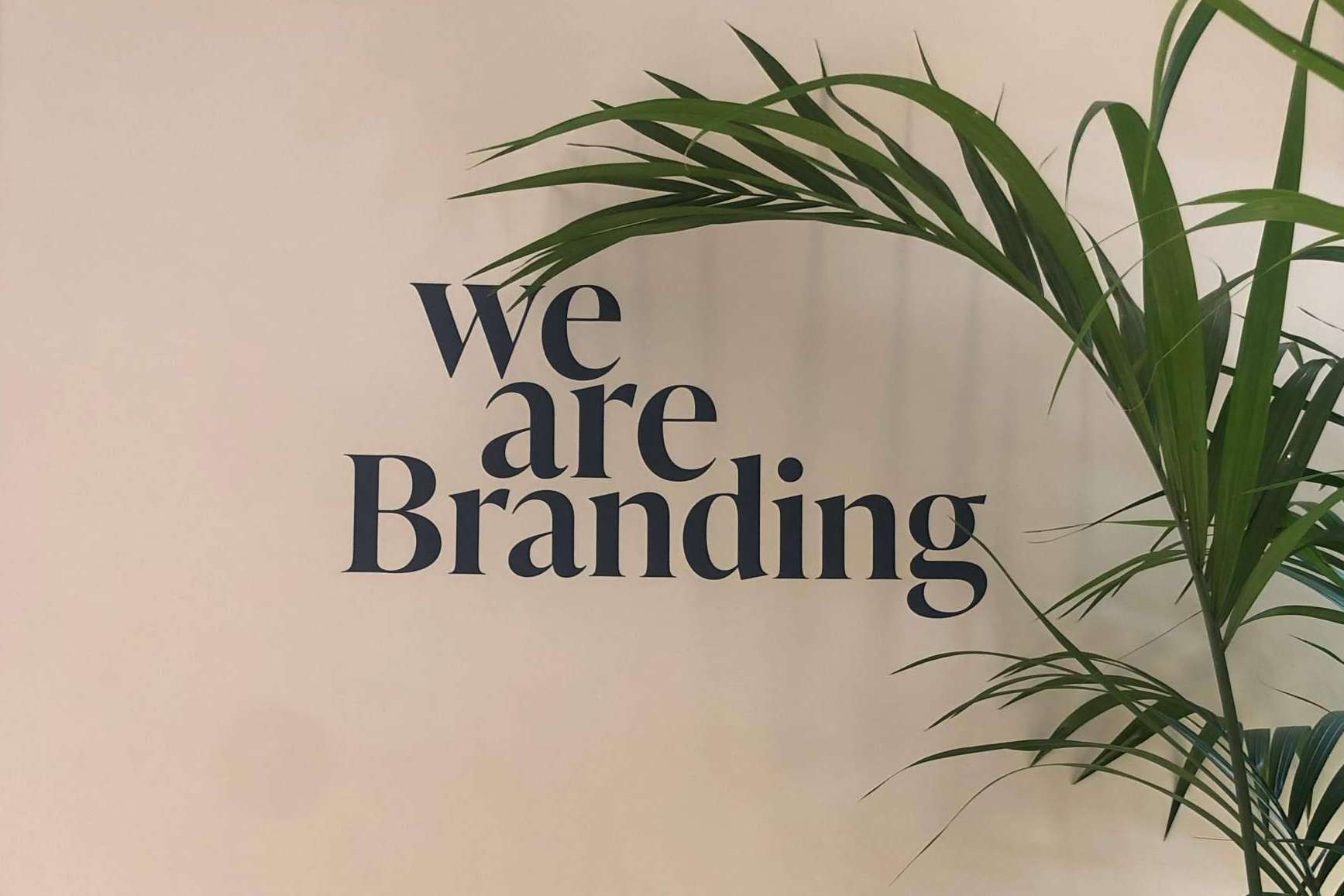 ¿Por qué es necesaria una agencia de diseño de packaging para las empresas?