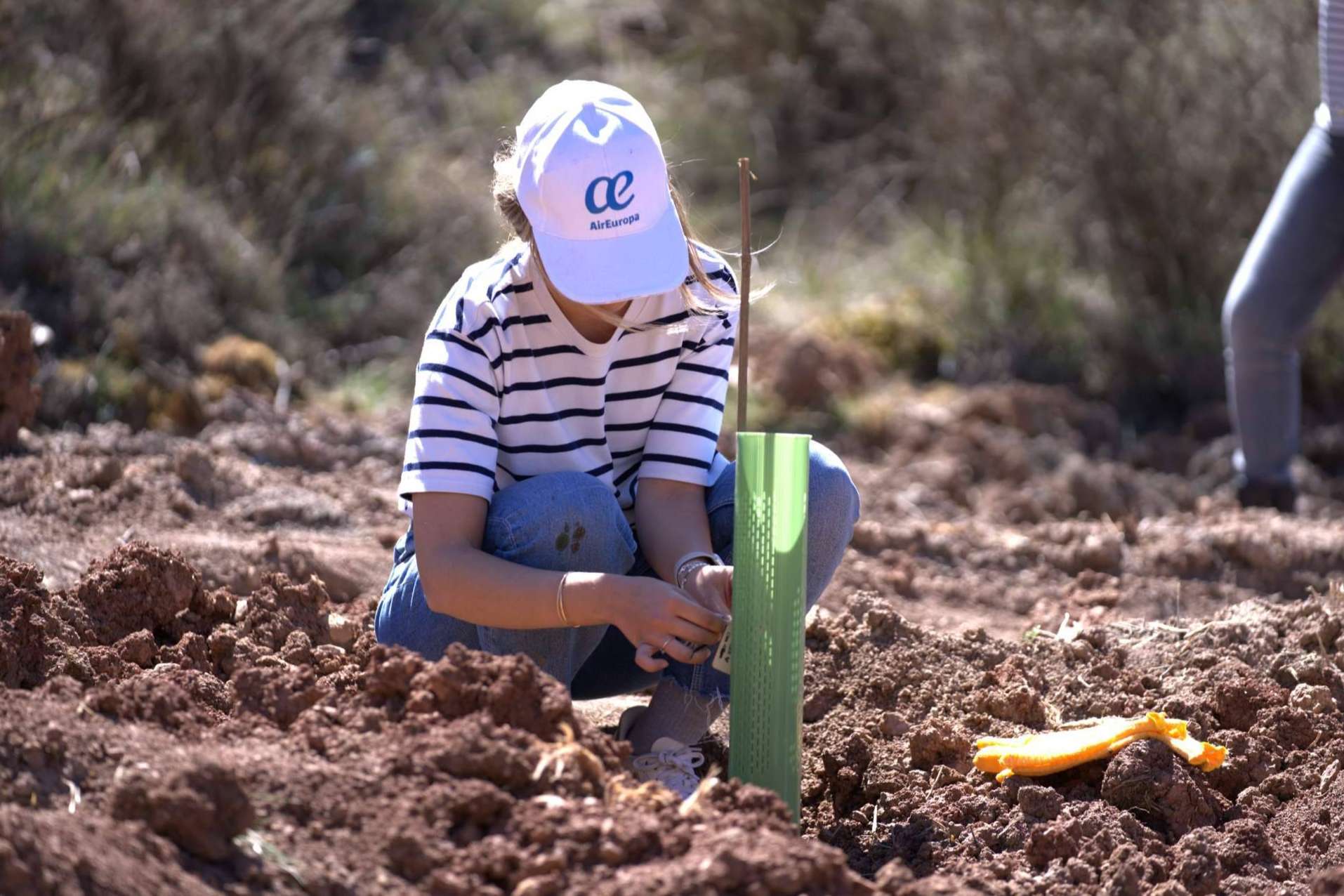 Air Europa y CO2 GESTIÓN crean un nuevo bosque en el Parque Natural del Alto Tajo