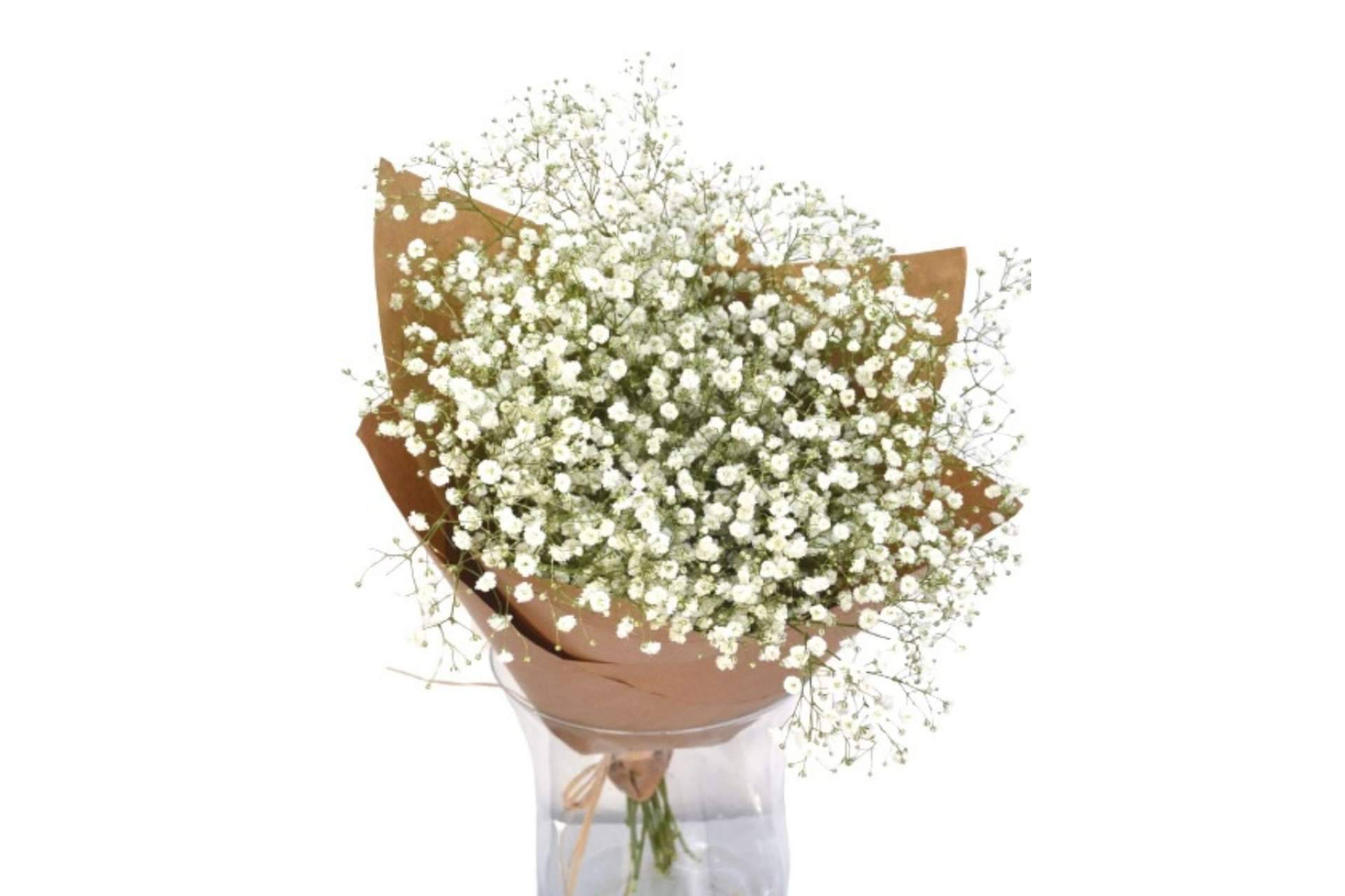 Un regalo perfecto es el ramo paniculata blanca de Rosistirem
