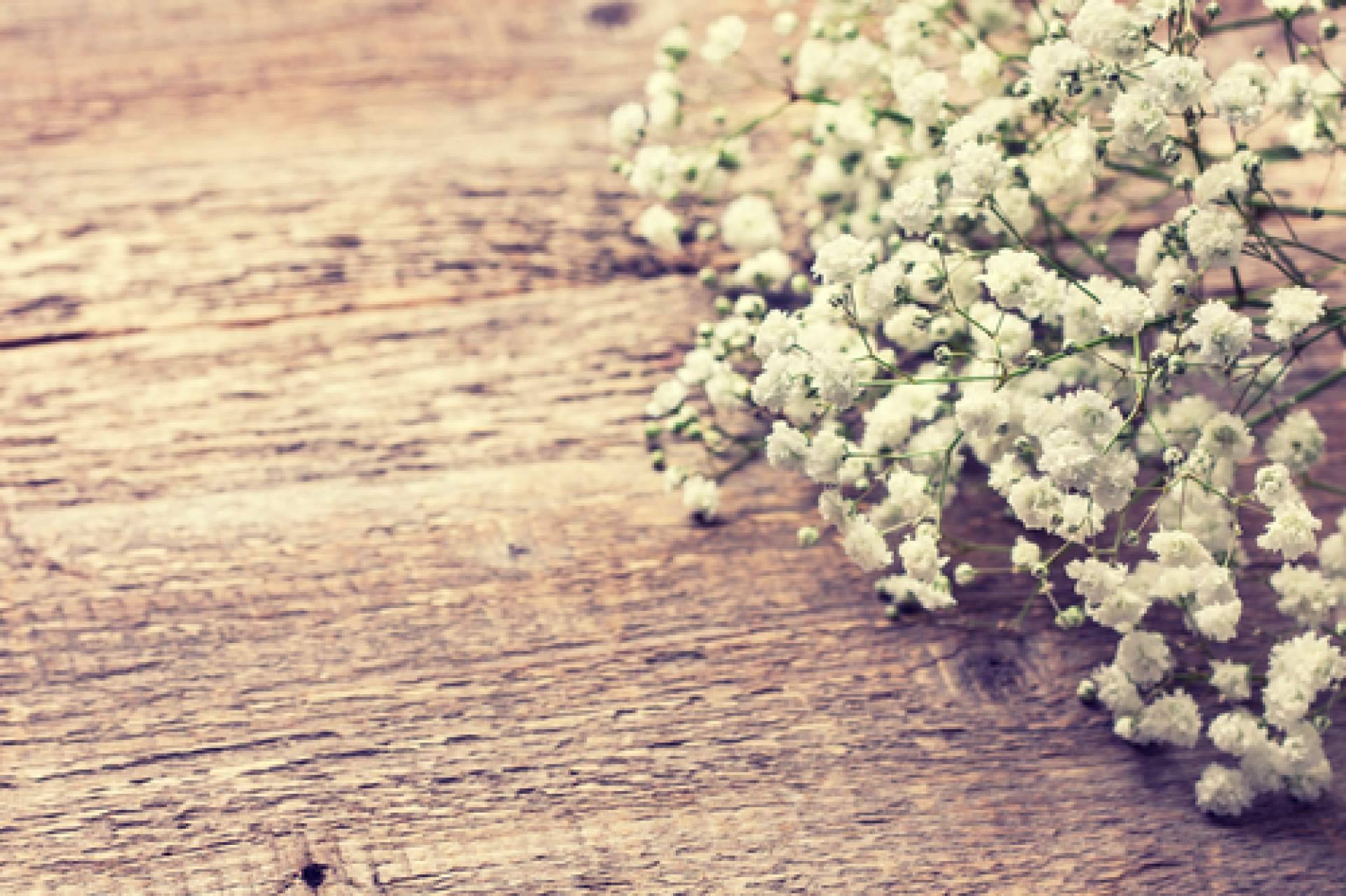 Rosistirem dispone de paniculata blanca y de colores, teñidas por los profesionales
