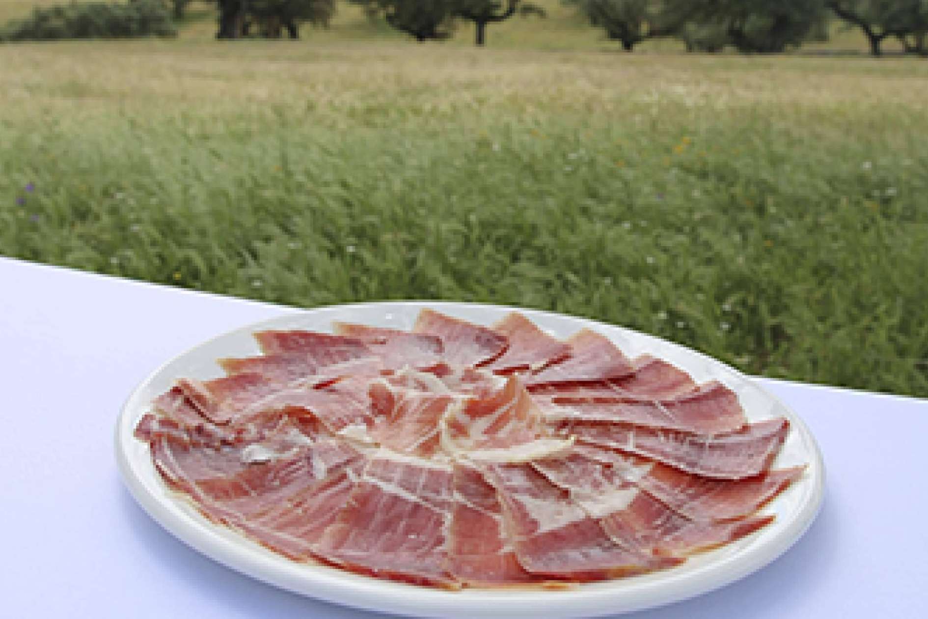 Comprar jamón ibérico por internet, bendita locura con Ibericomio