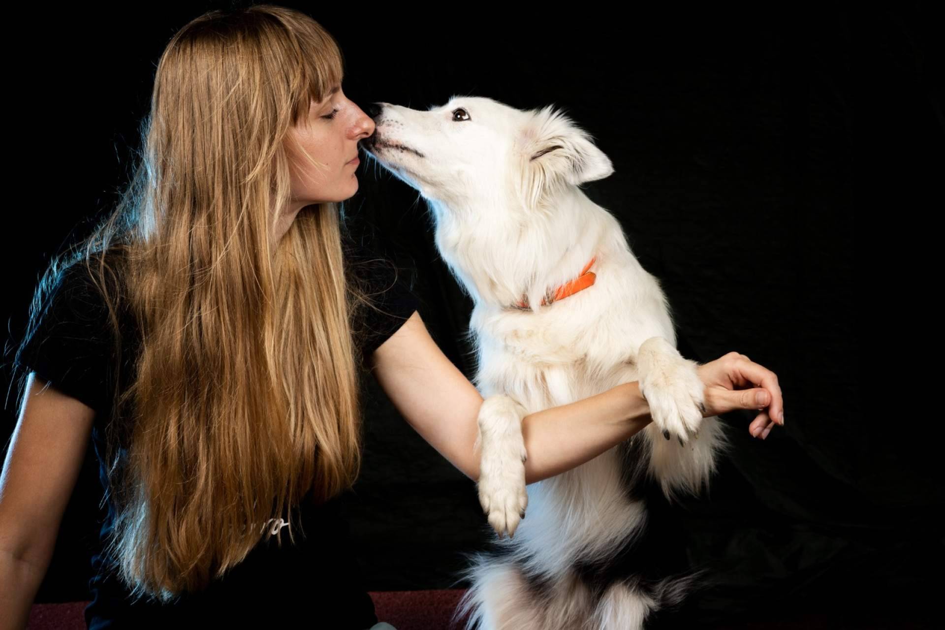 De qué forma las habilidades caninas potencian el vínculo entre perros y dueños