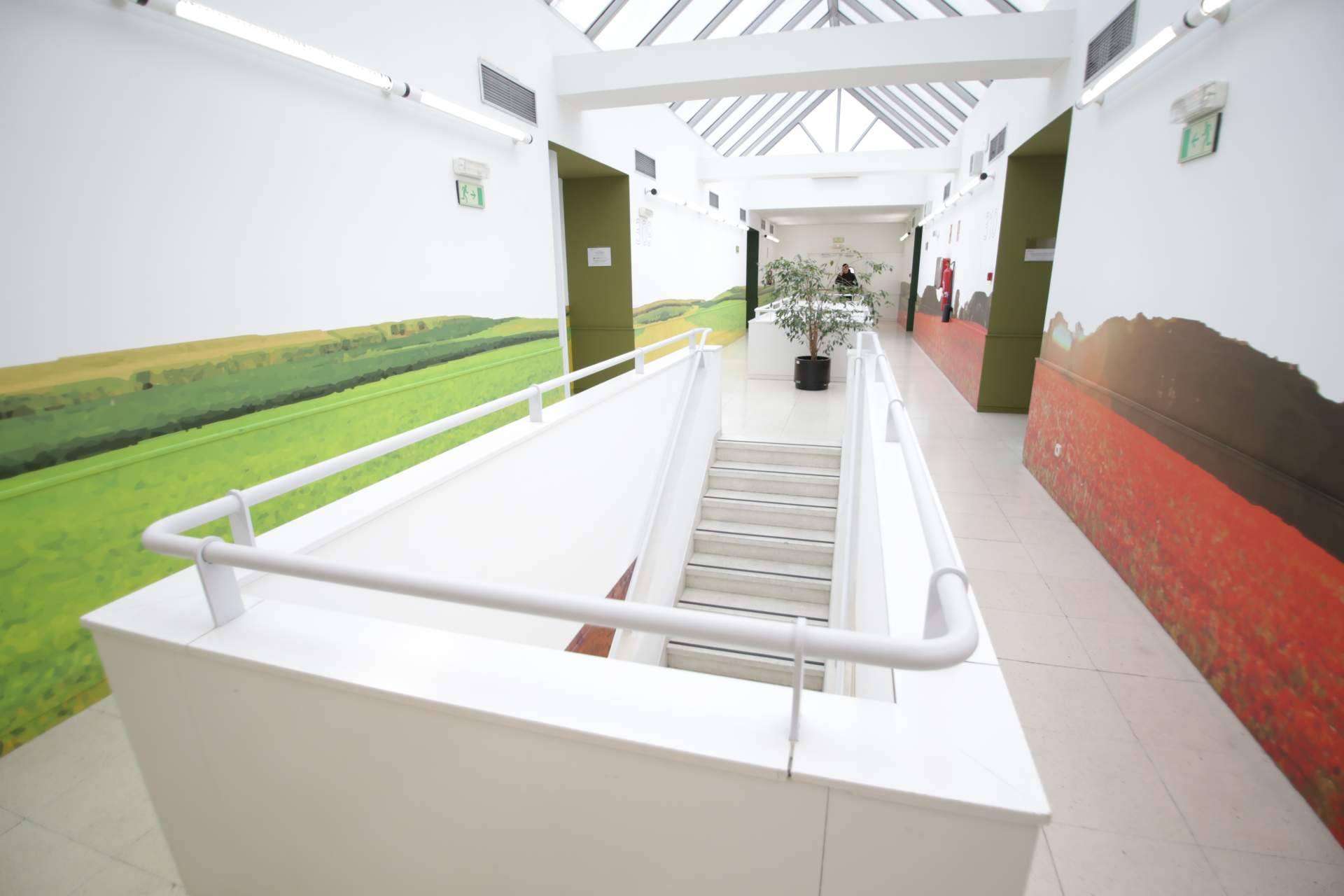 Cámara de Madrid ofrece formación profesional con experiencia para cumplir los sueños de sus alumnos