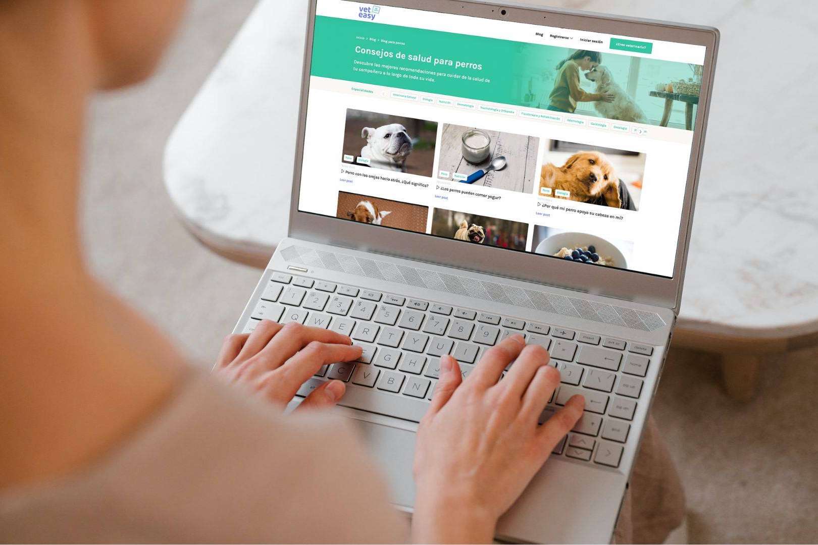 VetEasy, la plataforma que conecta a propietarios de mascotas con servicios veterinarios de calidad