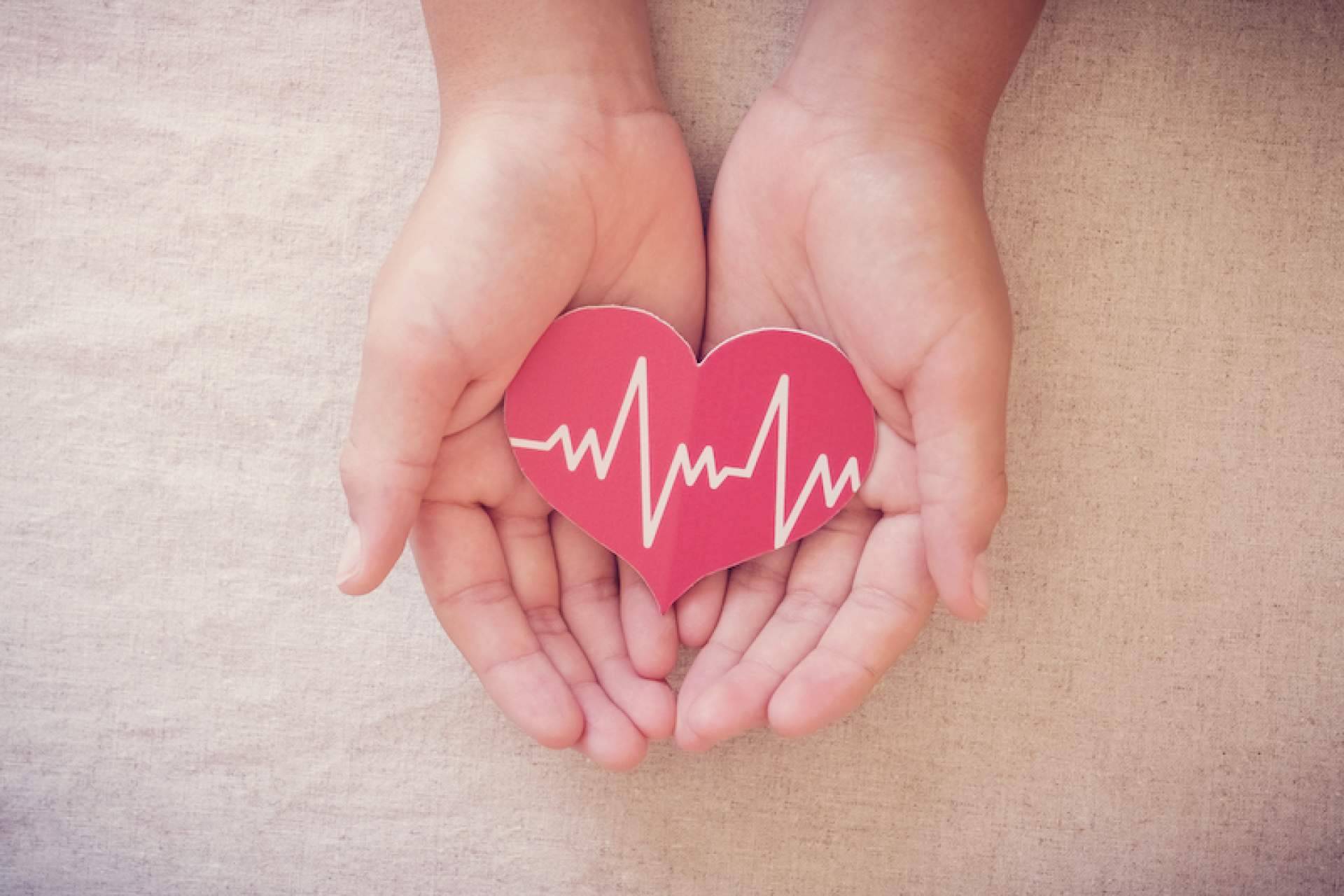¿Cómo contratar un seguro de vida?, de la mano de PuntoSeguro