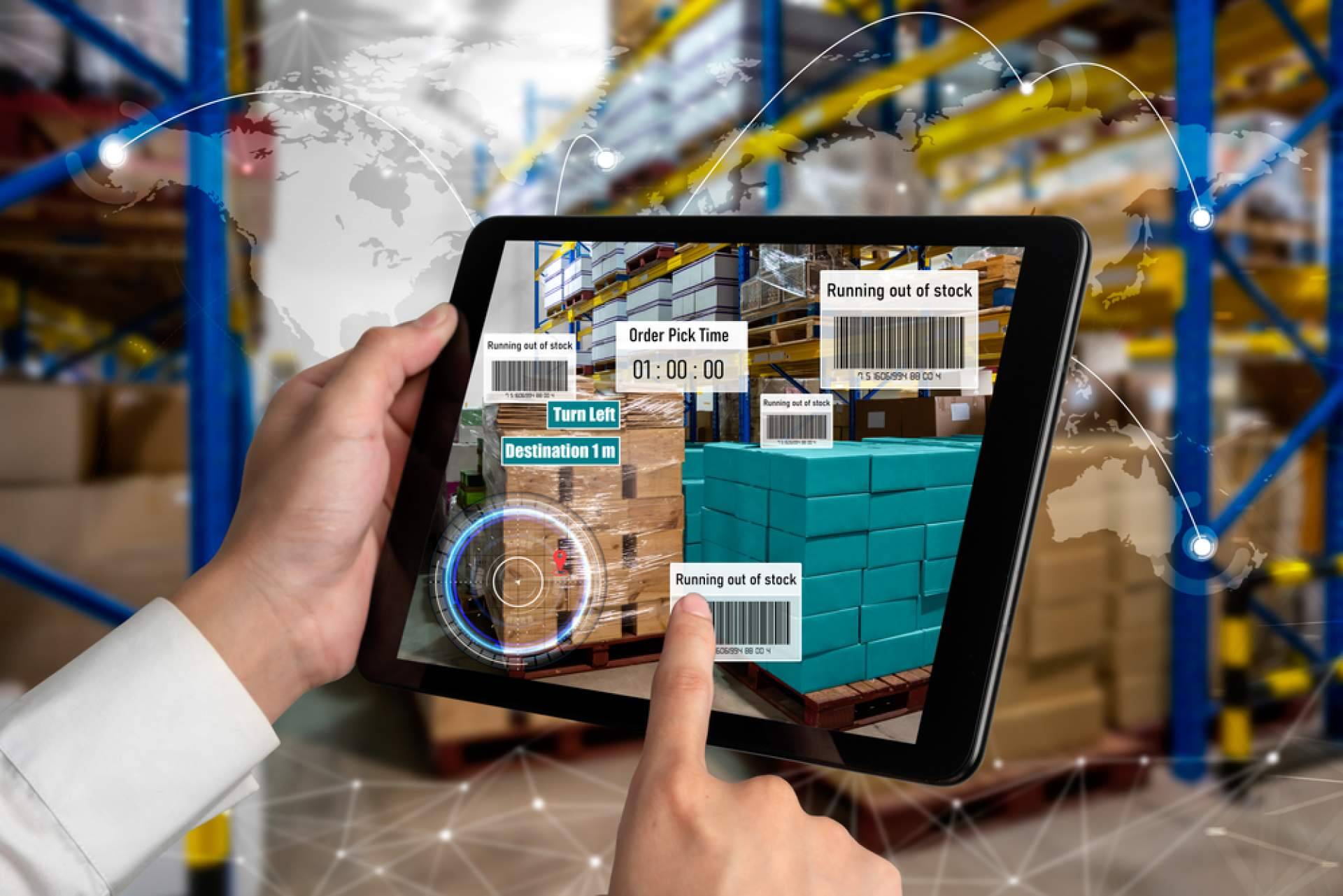¿Qué servicios ofrece la empresa Terra Logistika?