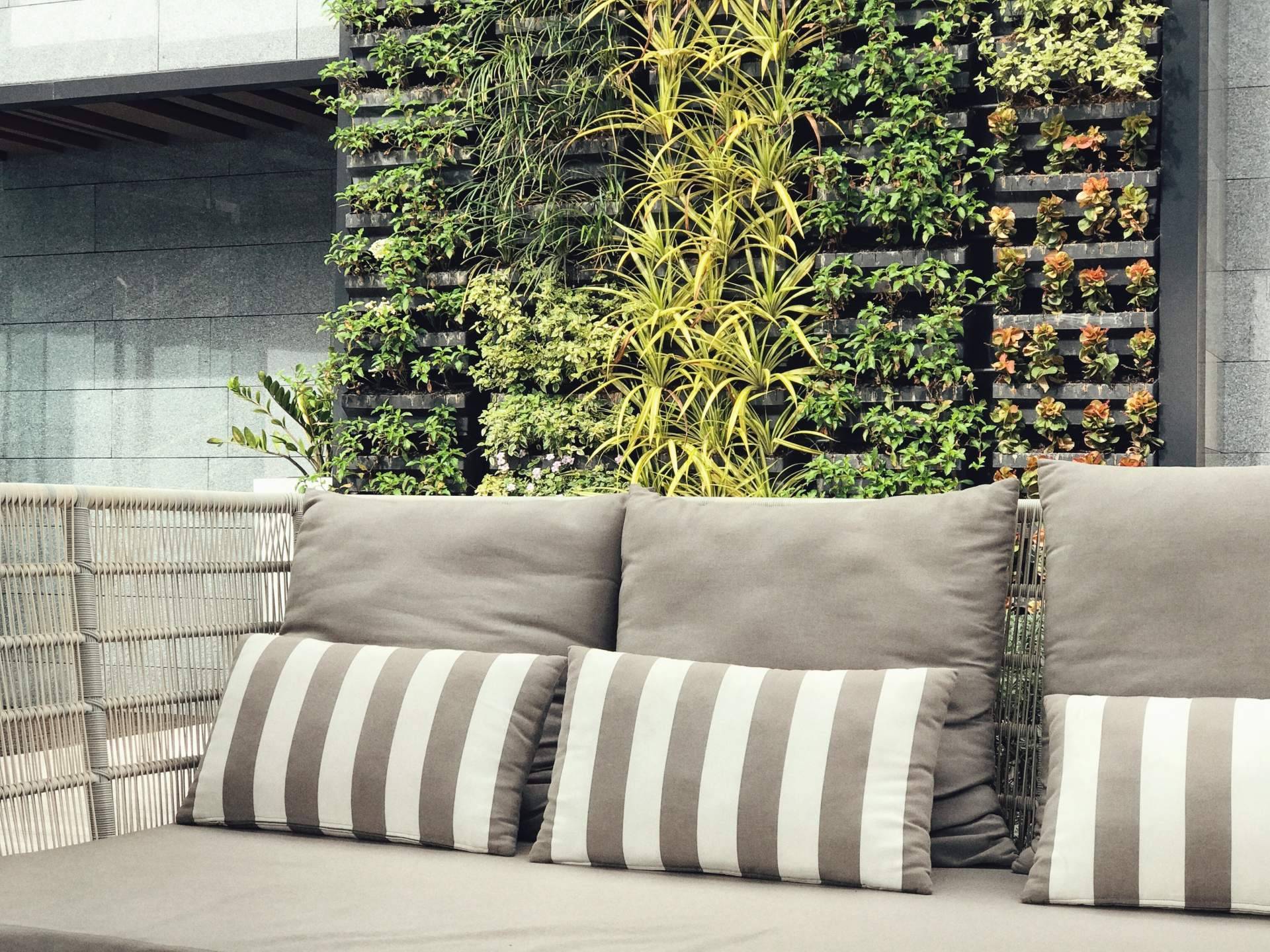 JardinVertical.es y los beneficios de sus plantas de pared colgantes