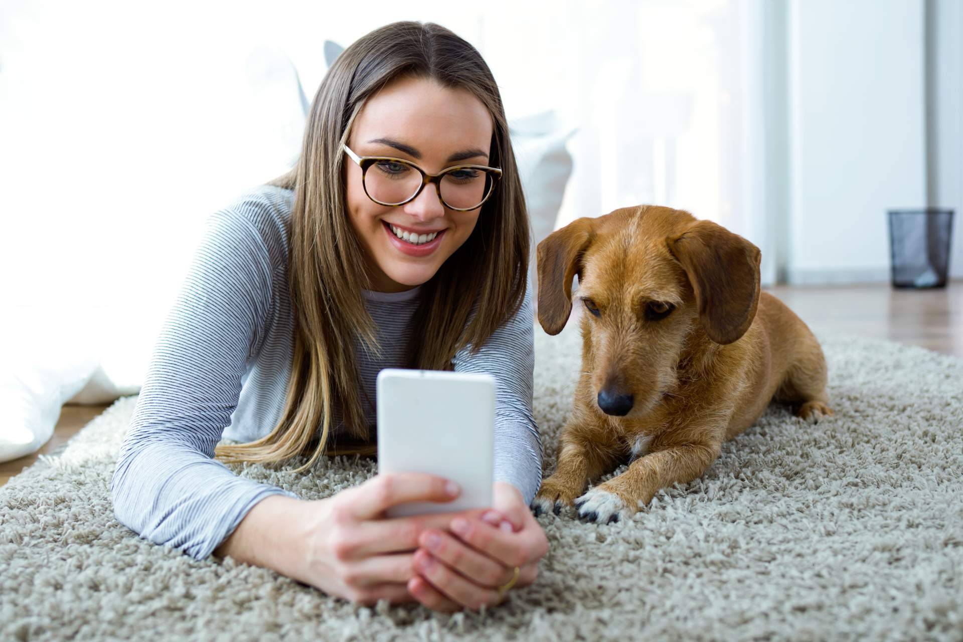 ClickGuau, el TikTok para mascotas que cuenta con centenares de vídeos graciosos de animales