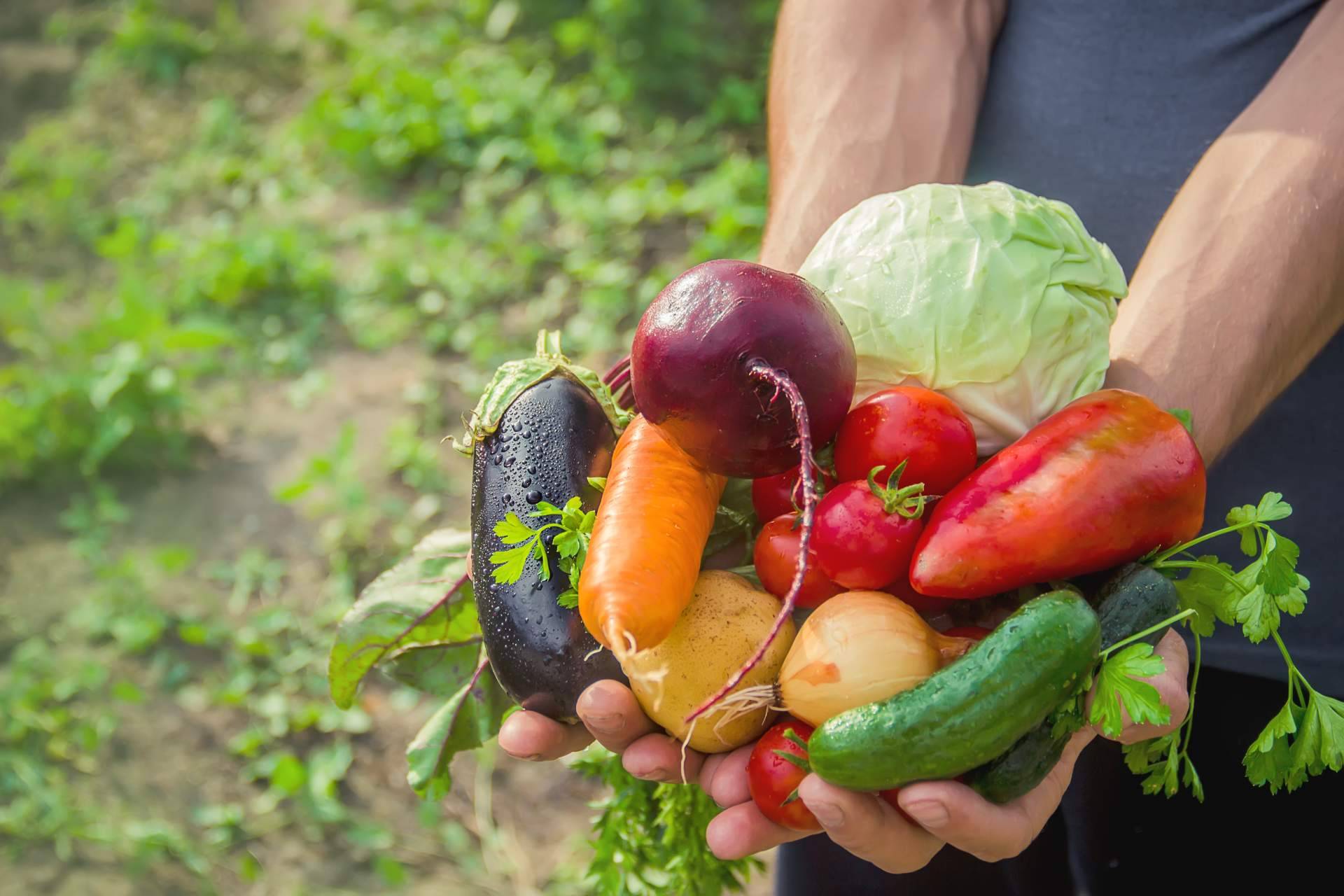 Las prácticas que lleva a cabo Serunion para fomentar la alimentación sostenible