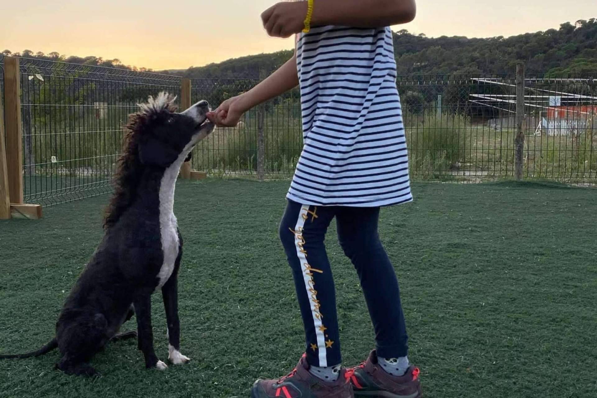 ¿Cómo educar a los cachorros?, con L’Almozara Can Bosc