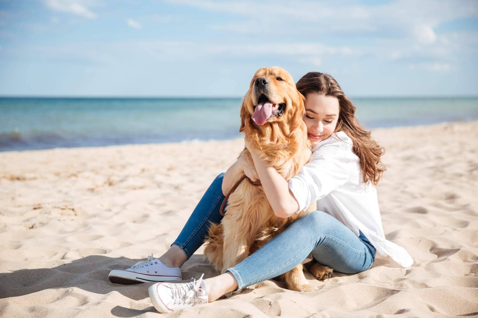 Encontrar los mejores sitios para disfrutar con el perro de la mano del buscador pet friendly de ADOPTA