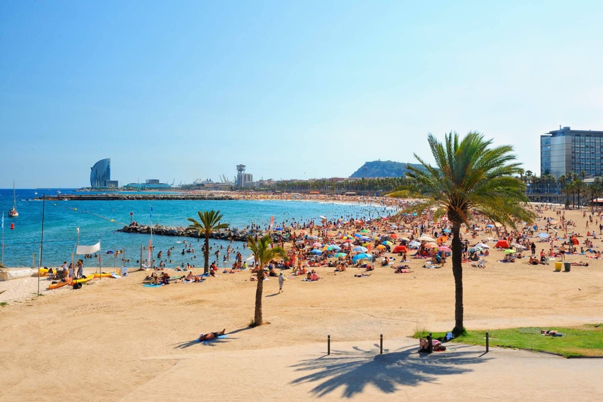 La importancia de las visitas a medida y las propuestas de Barcelonina