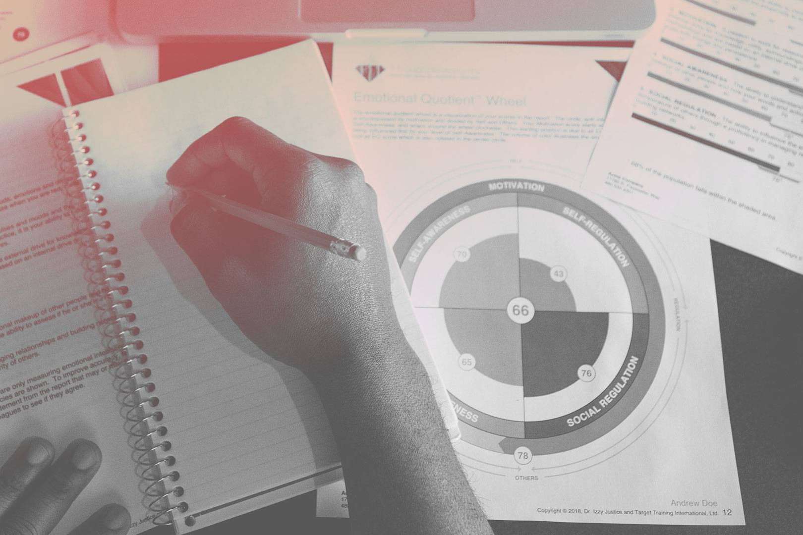 Los principales beneficios de la evaluación de la inteligencia emocional, de la mano de TTI Success Insights