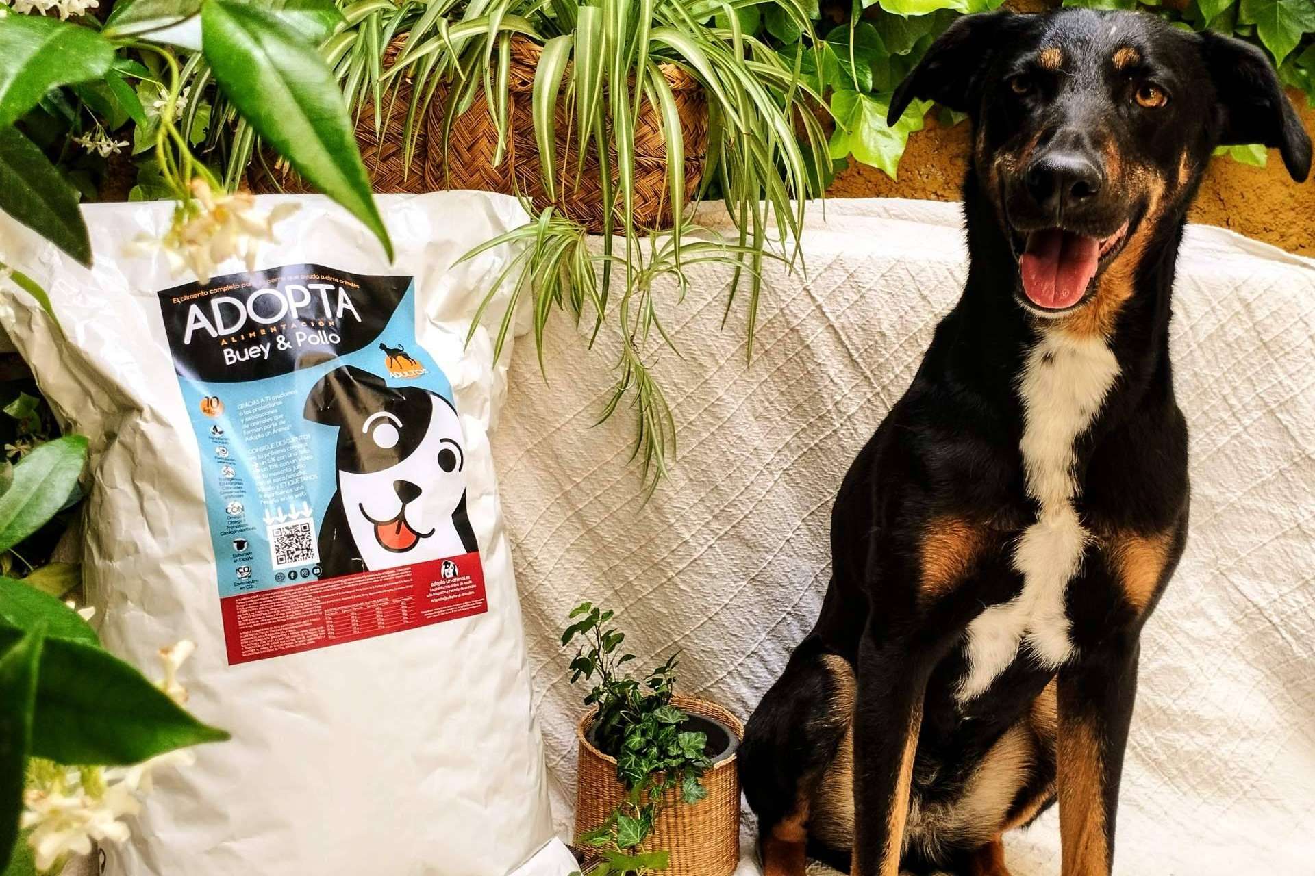 Pienso de buey y pollo para el mantenimiento de perros adultos. Con cada compra se ayuda a protectoras de animales