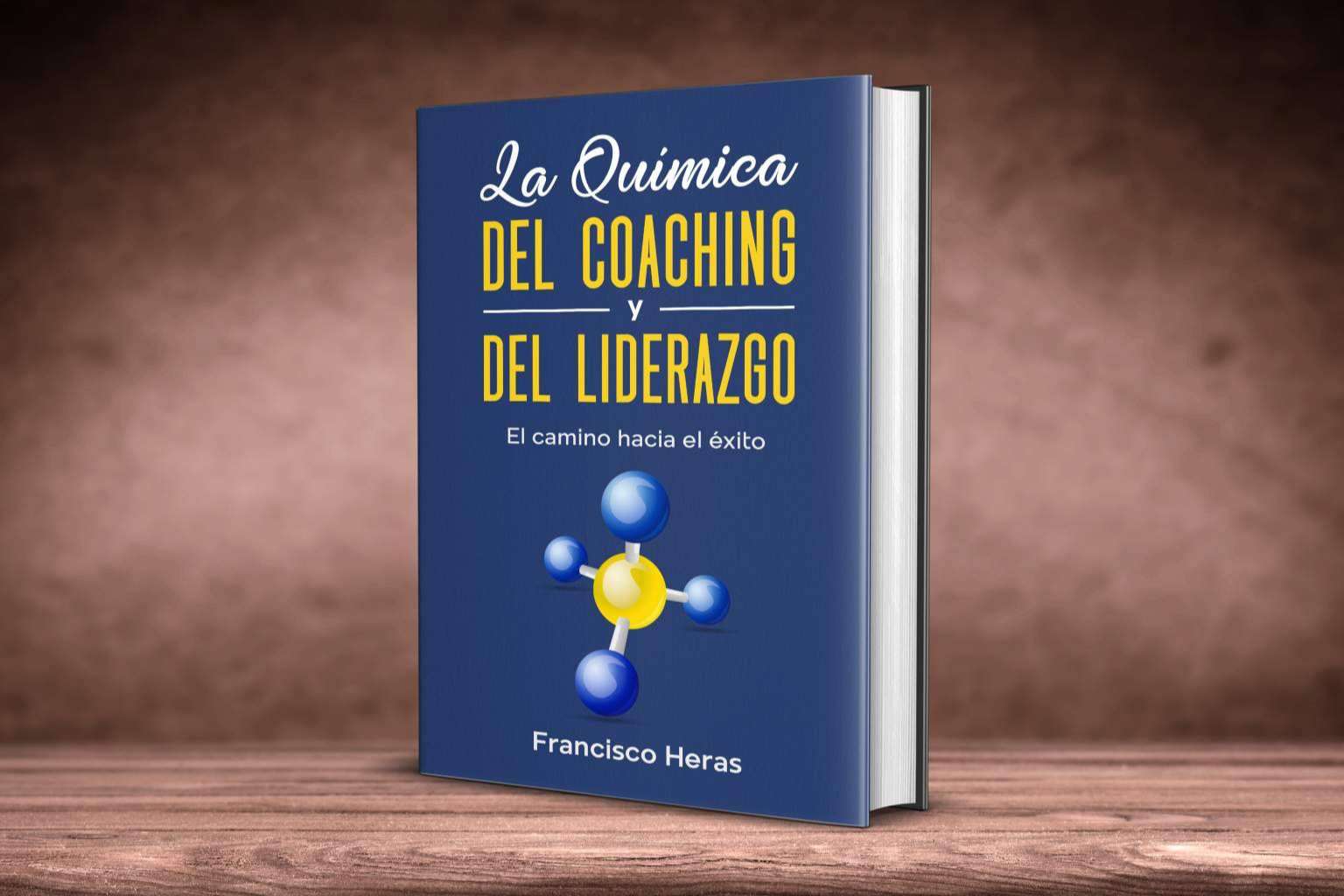 Heras Coaching, expertos en formación en toma de decisiones para empresas
