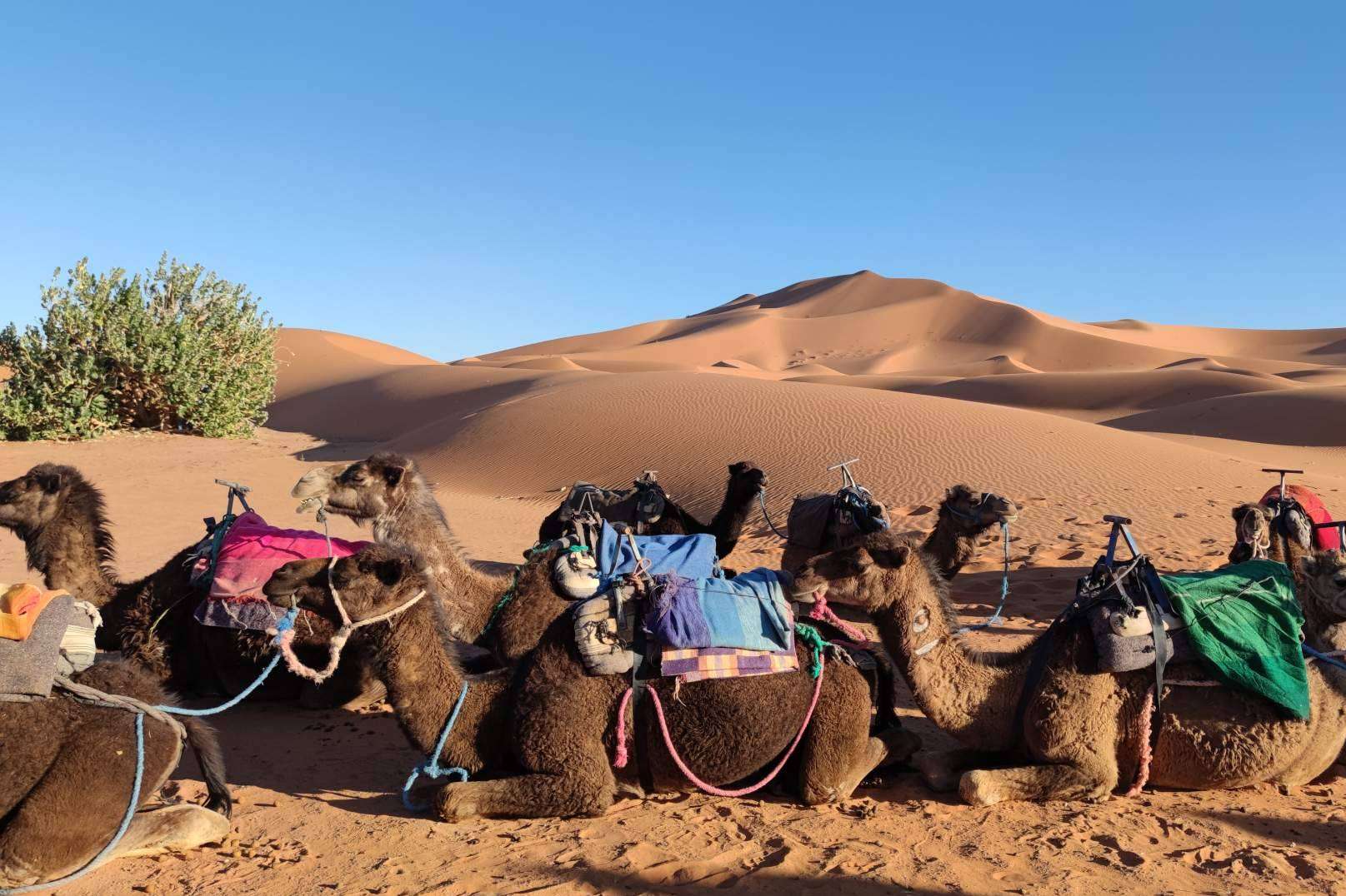 La oportunidad de meditar en el desierto de Merzouga, de la mano de eeMindful