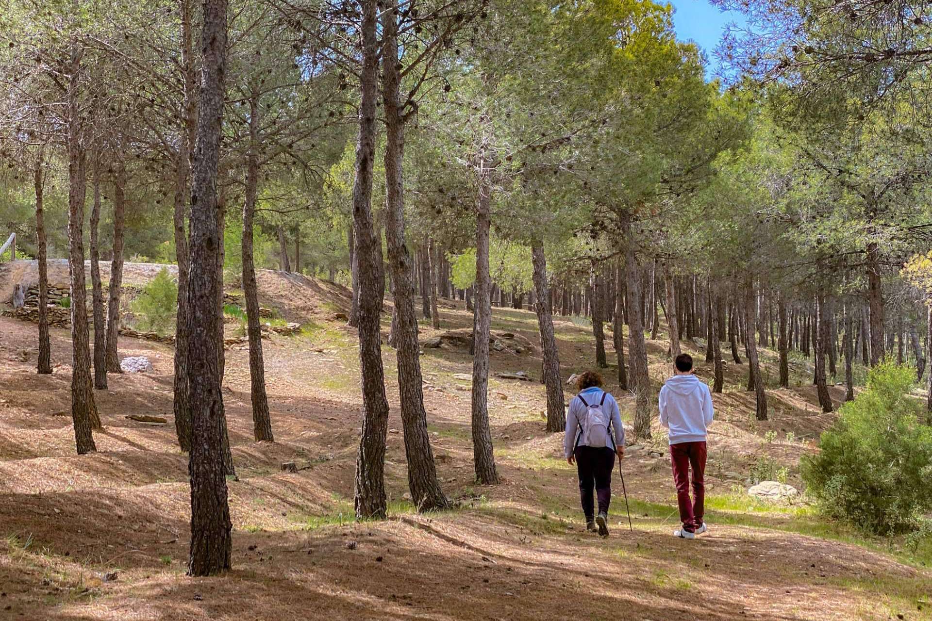Qué actividades se pueden hacer en un viaje de turismo rural al interior de Almería
