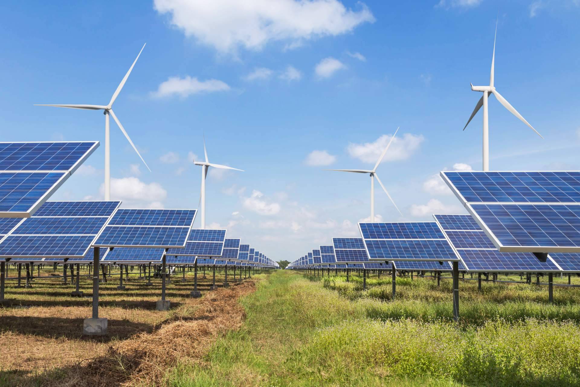 Solomnia facilita la obtención de una mayor energía con sus módulos solares fotovoltaicos