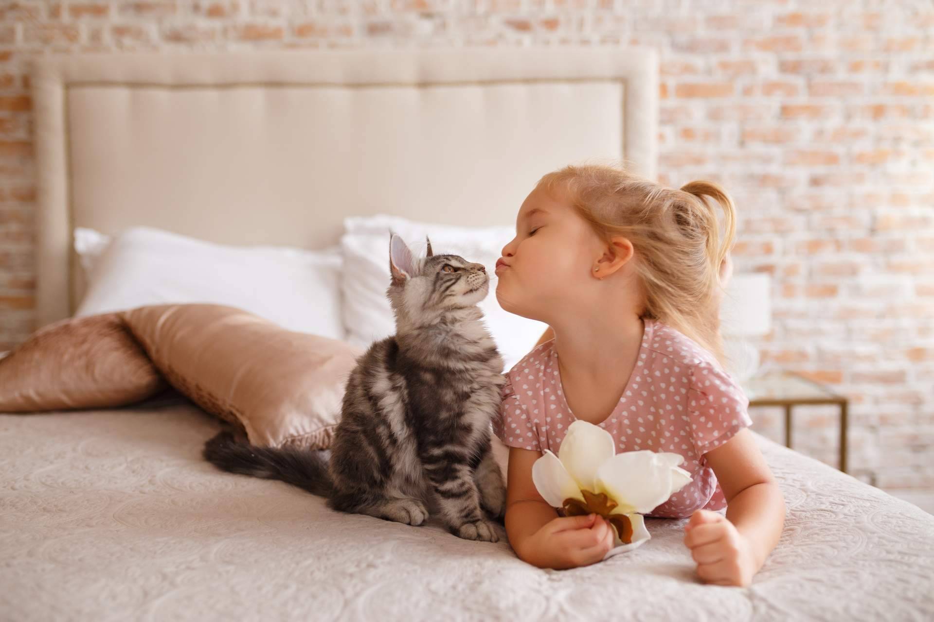 ClickGuau, la novedosa aplicación para compartir vídeos de mascotas