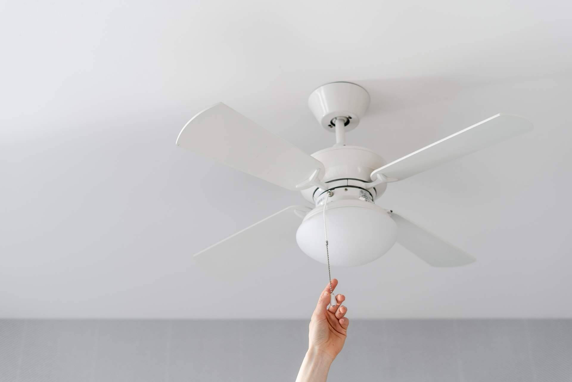 Los ventiladores de techo se convierten en los favoritos de la temporada en La Tienda de Electricidad