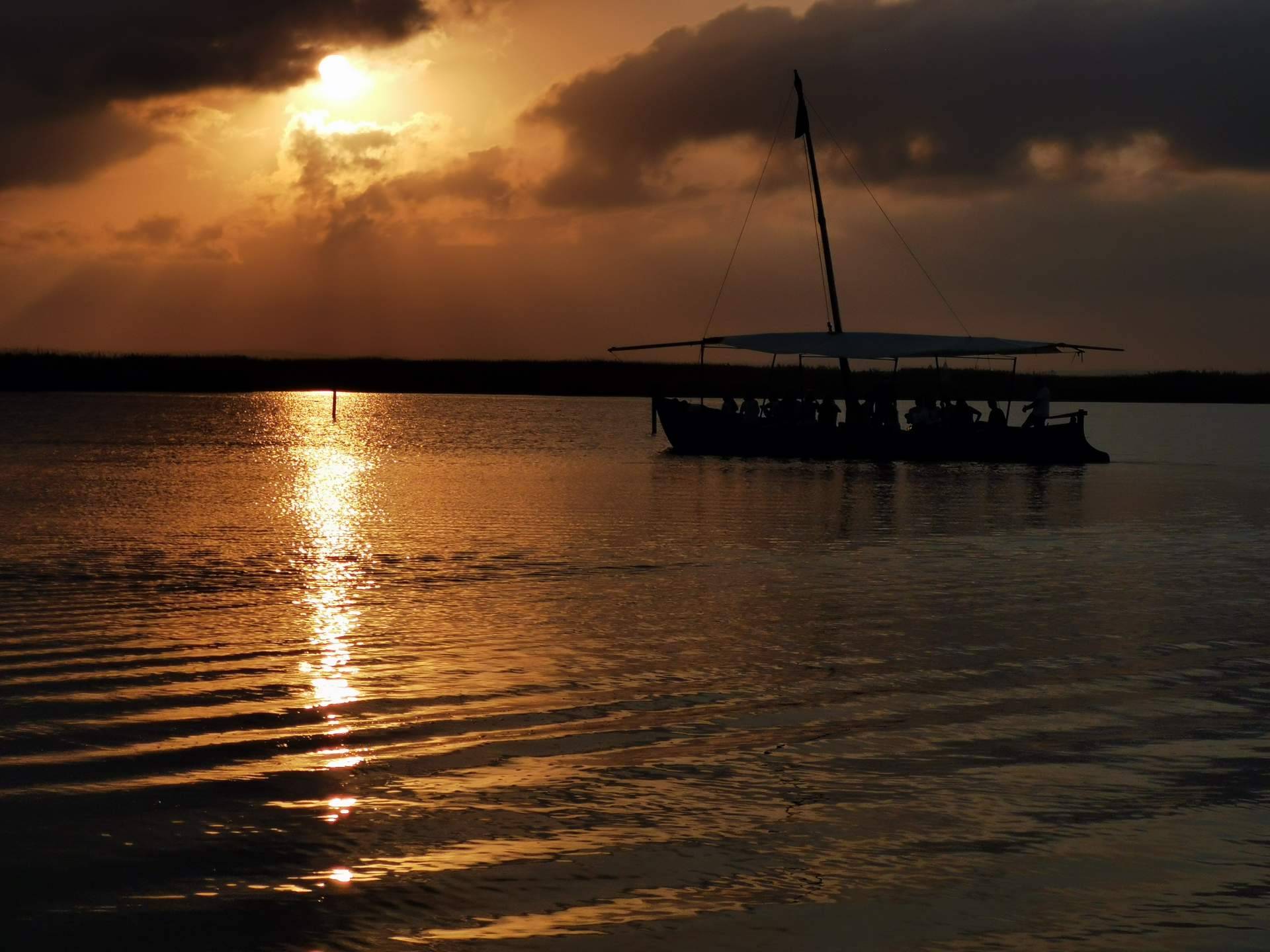 Visitar La Albufera en barca es un plan ideal en verano, de la mano de Albumar
