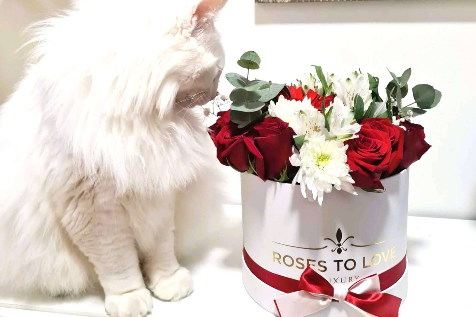 La tendencia de la boutique atelier Roses To Love para decorar espacios con flores