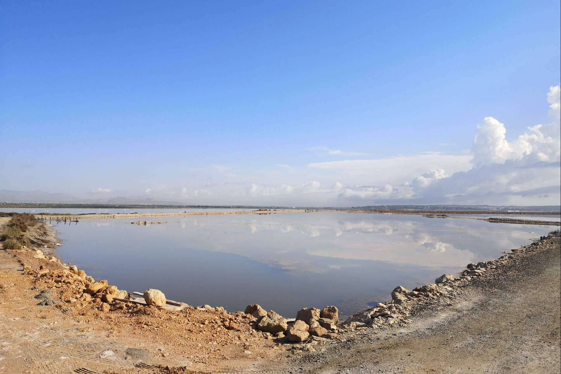 Sal marina ecológica, natural, sostenible y generadora de ecosistemas