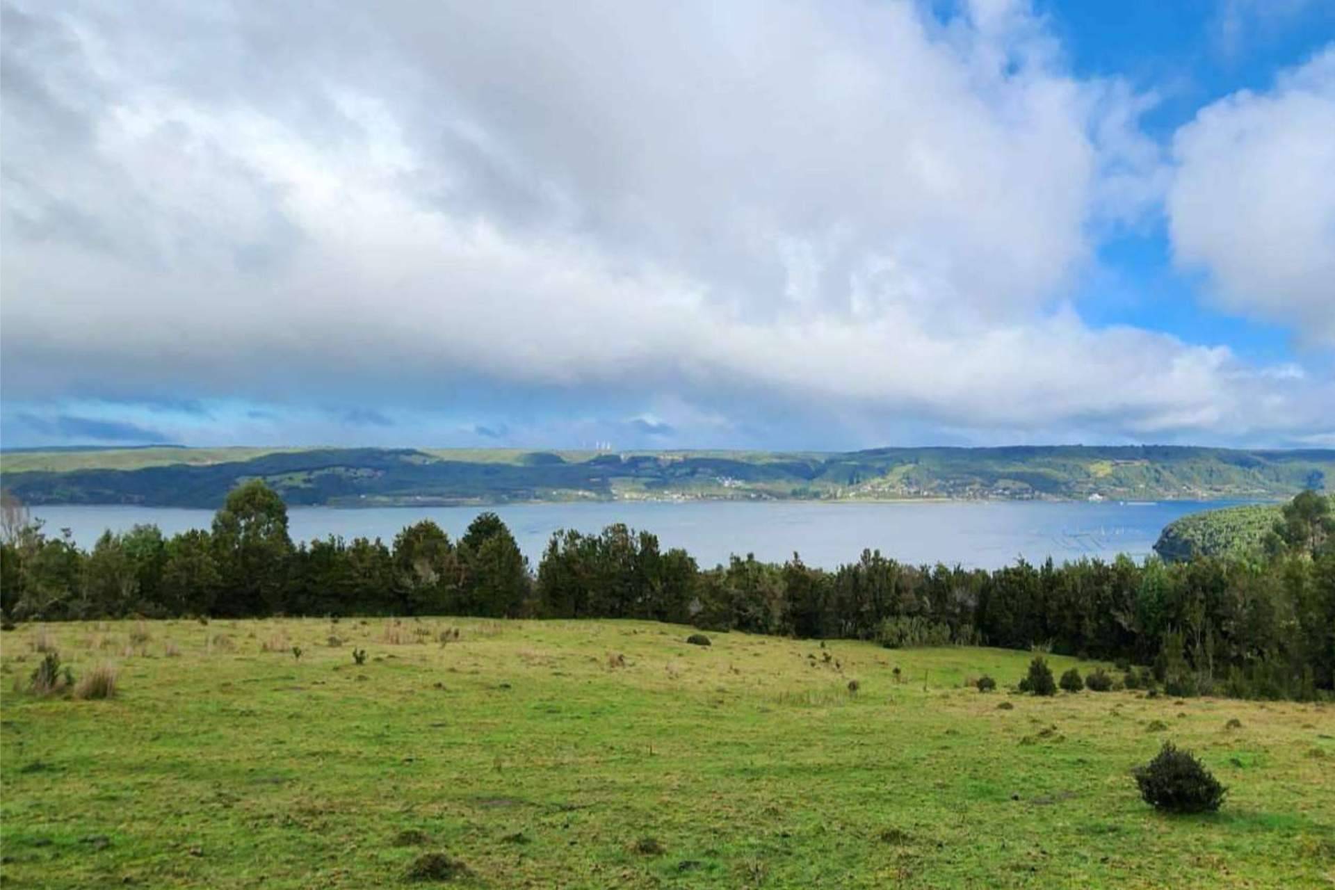 Invertir en una parcela en Chiloé con Latitudes Australes