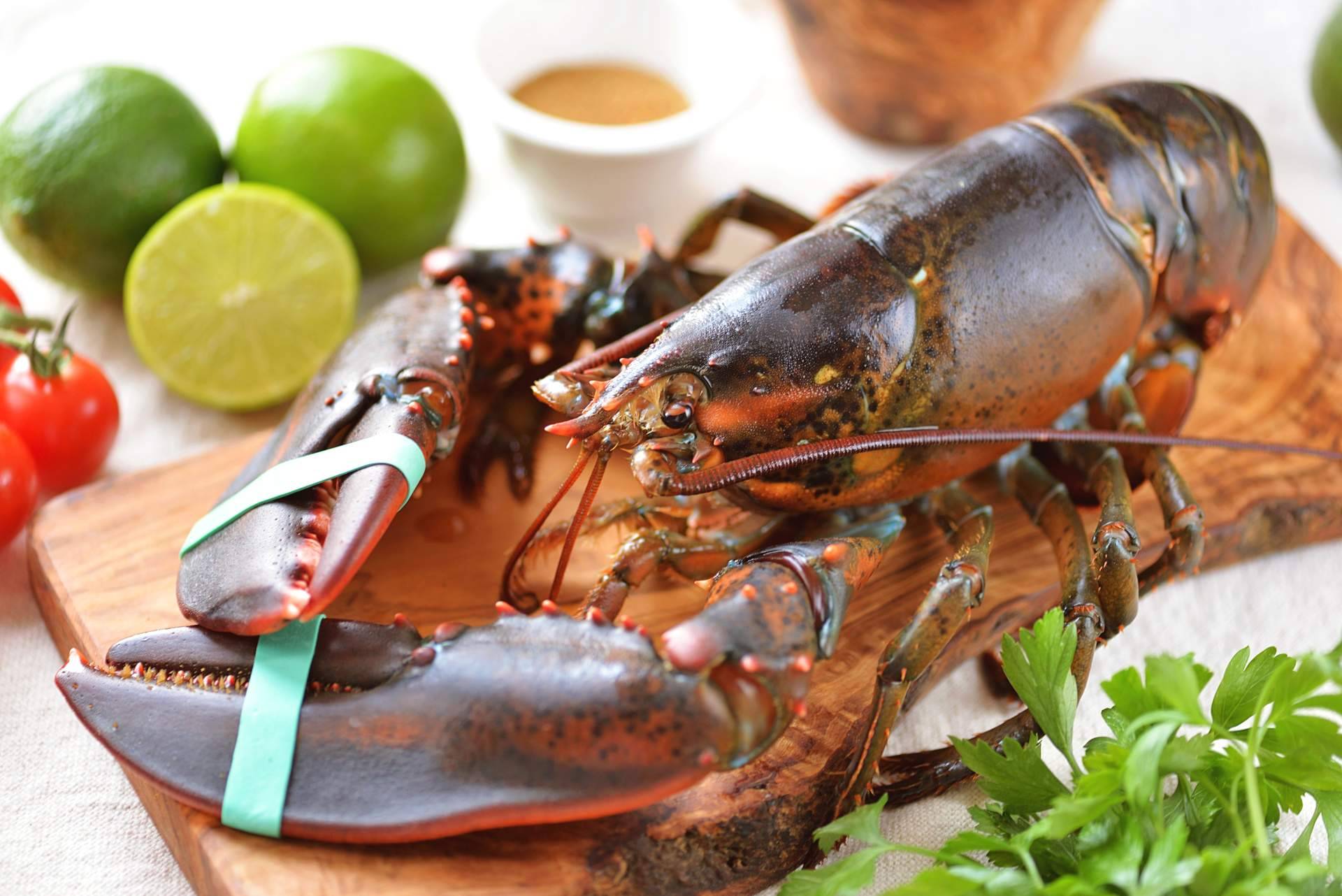 ¿Dónde encontrar bogavante y otros productos del mar de alta calidad? Pescadería Younes Ceuta