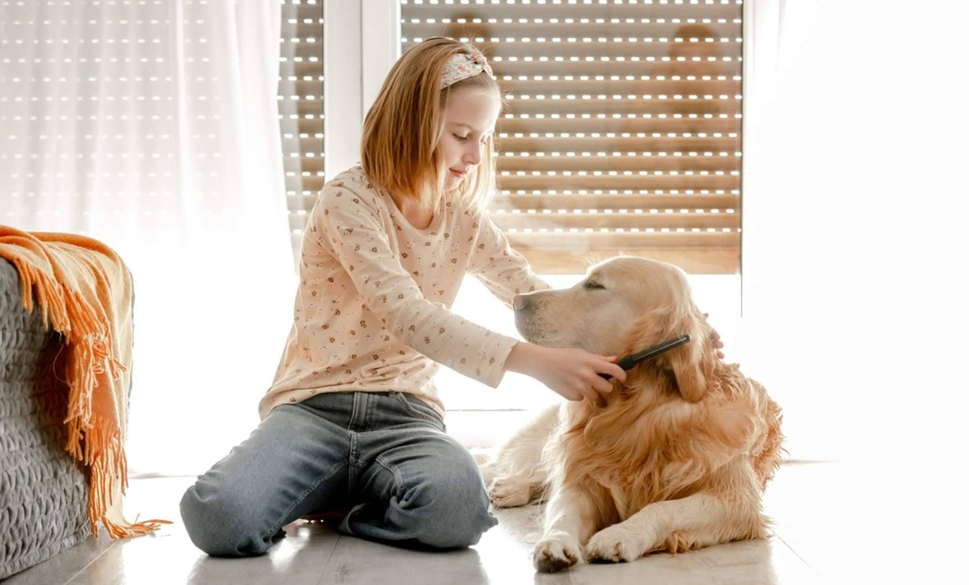 Pinkbrush Cardador Profesional, el cepillo ideal para cuidar de las mascotas, con 4 Huellas