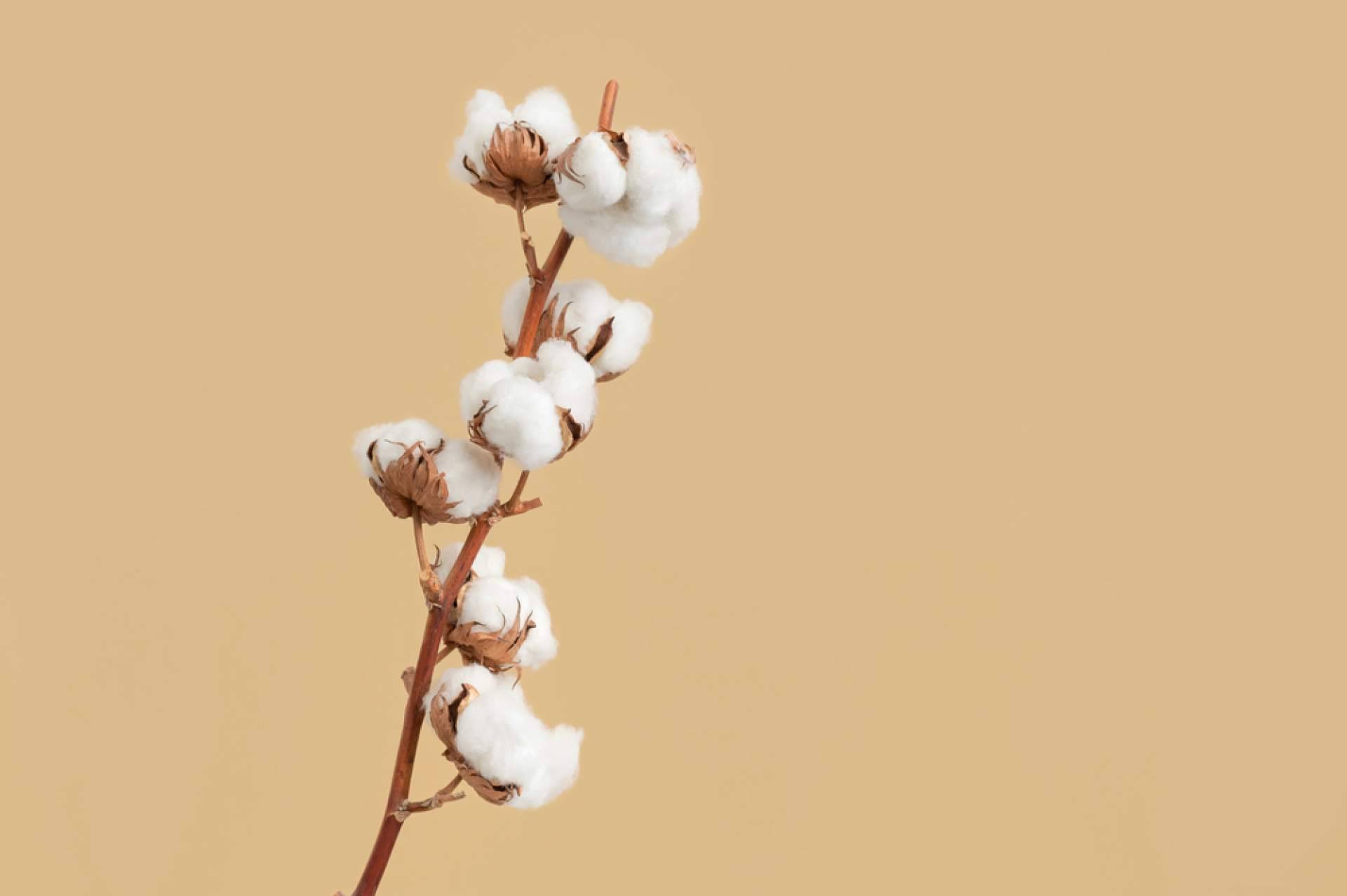 Lidia Crochet Tricot pone a la venta hilos de algodón para crochet en su tienda online