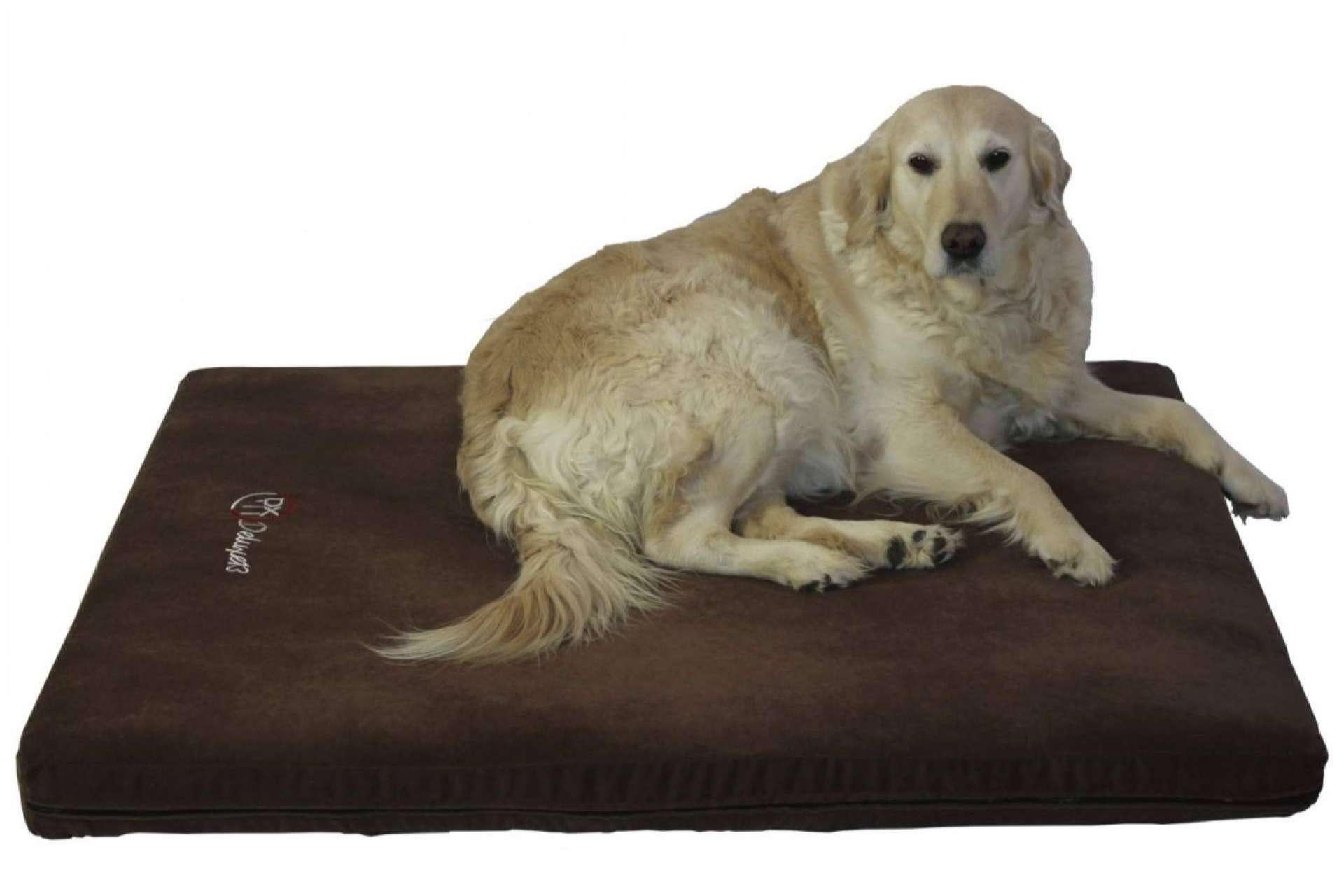 Camas para perros, disponibles en Deluxe13