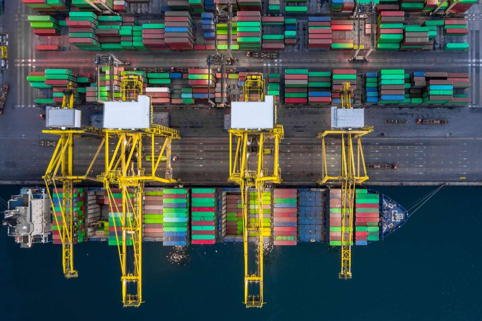 ¿Por qué es importante el control de plagas en el transporte marítimo?