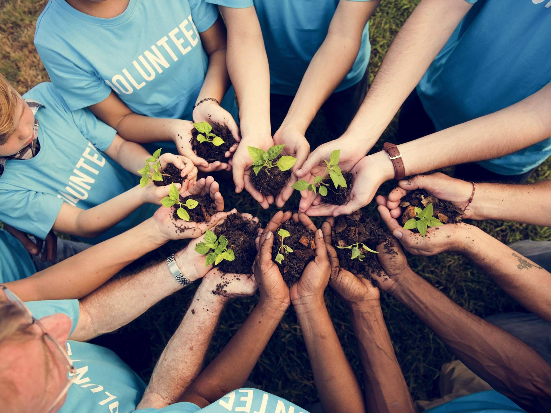 Volungo, una red social solidaria creada en España