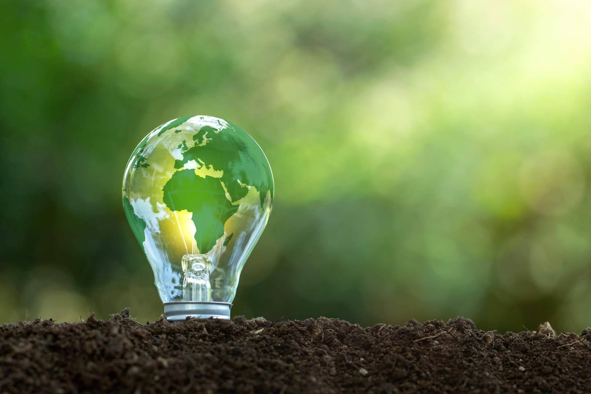 El Día Mundial del Ahorro de Energía y la relevancia de las energías renovables