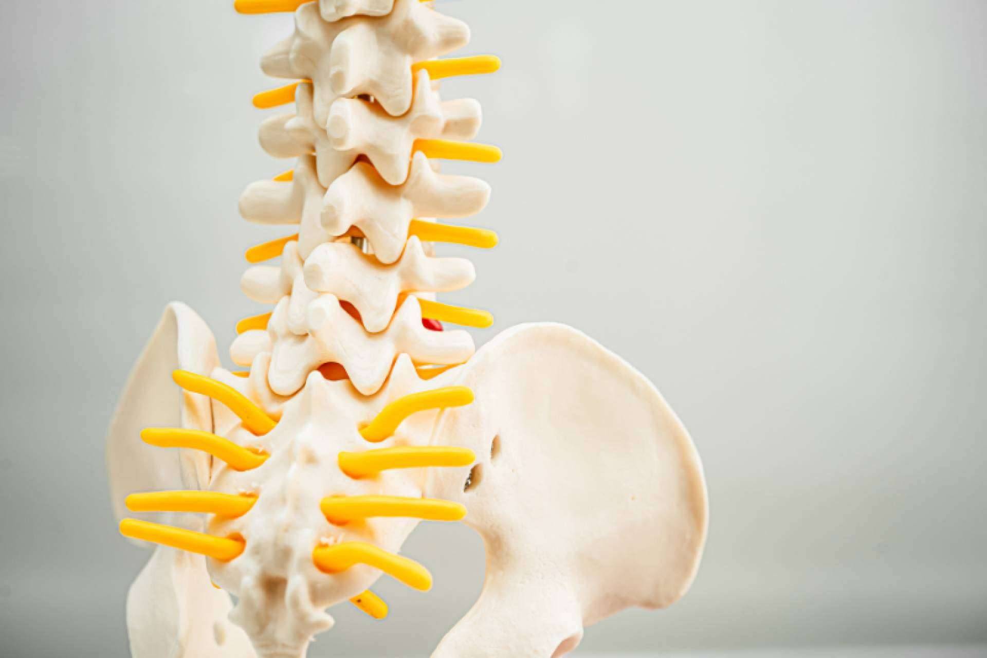 Terapia con células madre y medicina regenerativa; tratamientos para la enfermedad degenerativa del disco