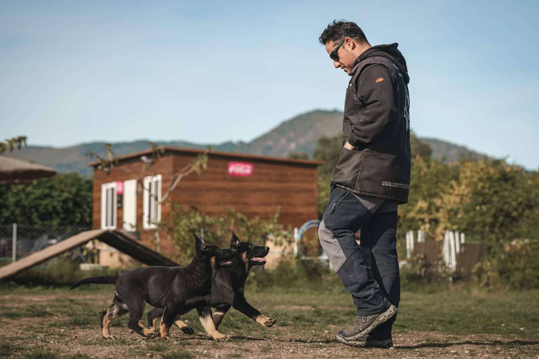 Realizar el Curso de Adiestrador Canino Profesional con la escuela de adiestramiento Monte Ida