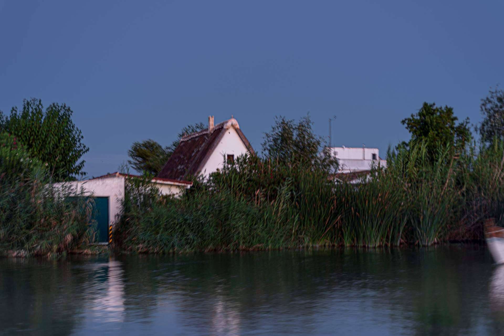 Paseos en barca por la Albufera desde El Palmar con Albumar