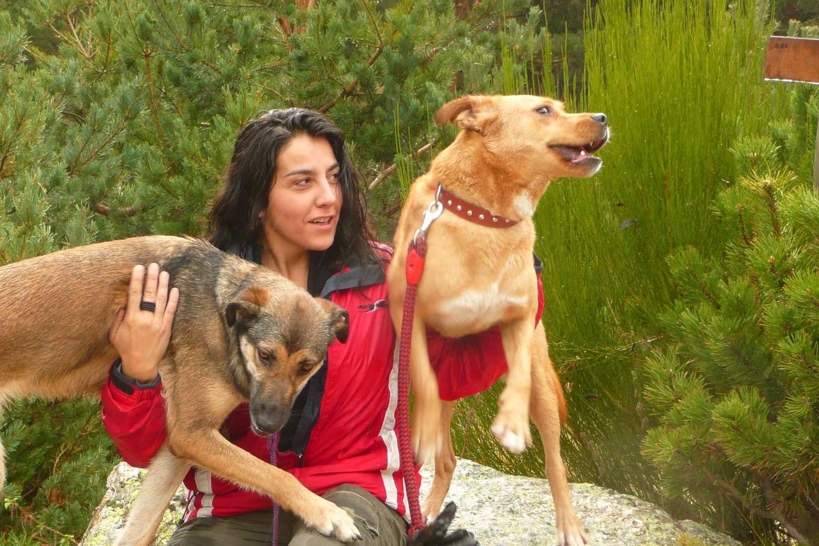 Entrevista a Alicia Arés, una de las editoras más reconocidas de España
