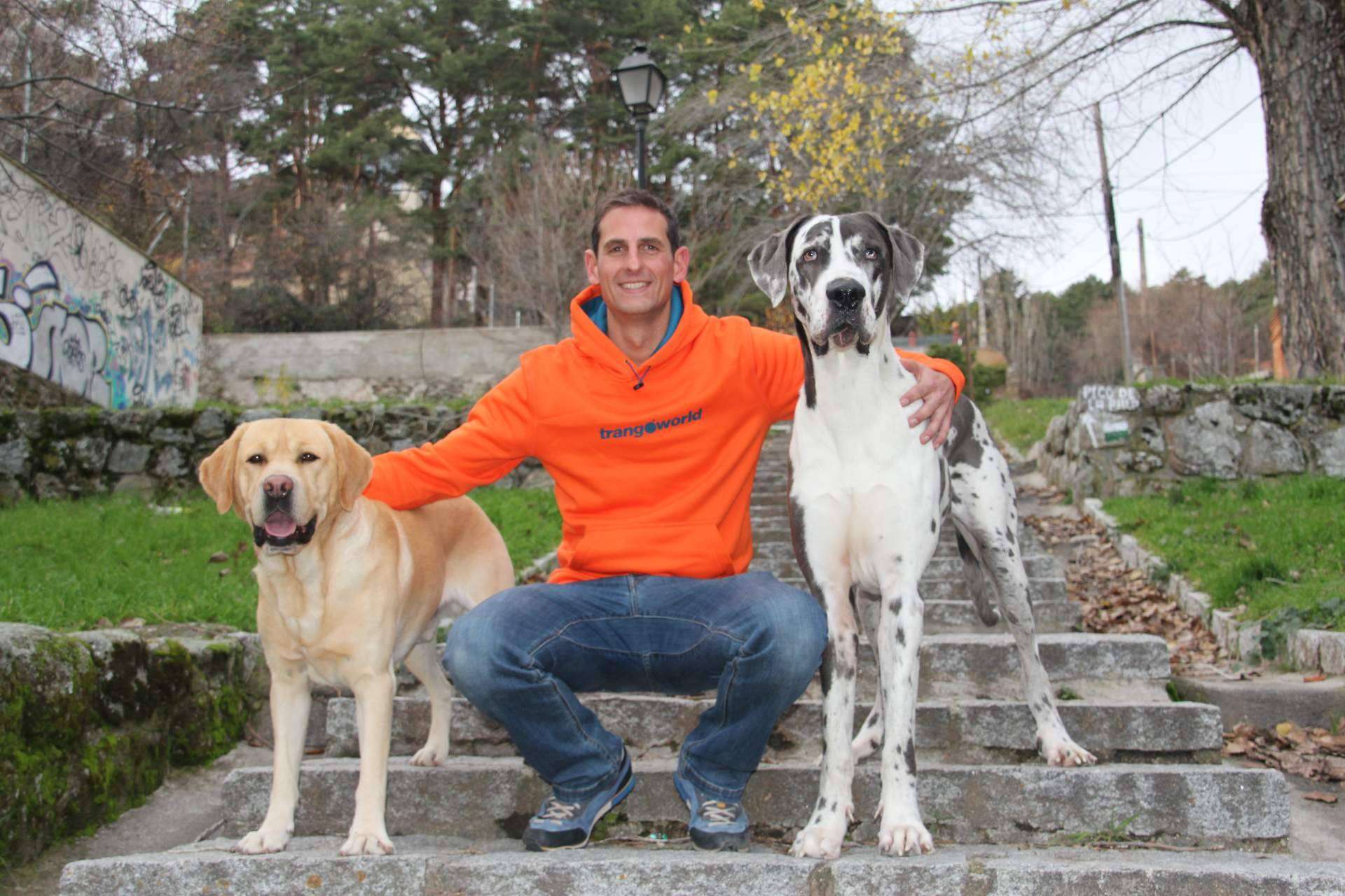 Cómo crear una conexión con una mascota, por Carlos Rives