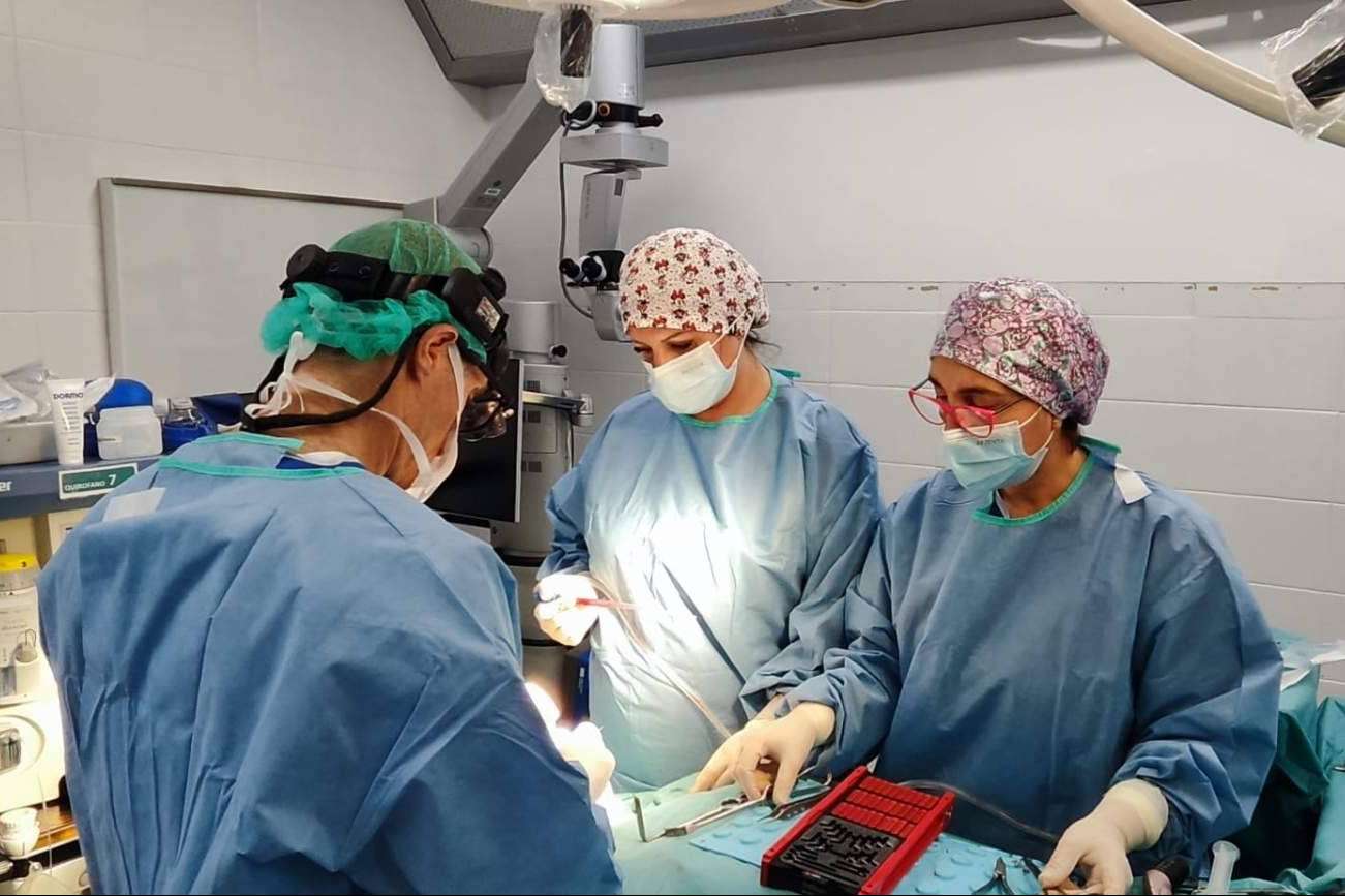 Sobre la cirugía estética facial en la Clínica Birbe