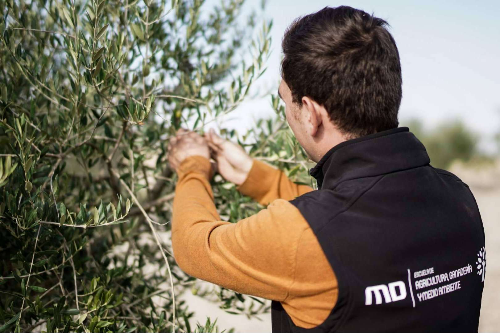 Formación con MasterD para ser agricultor