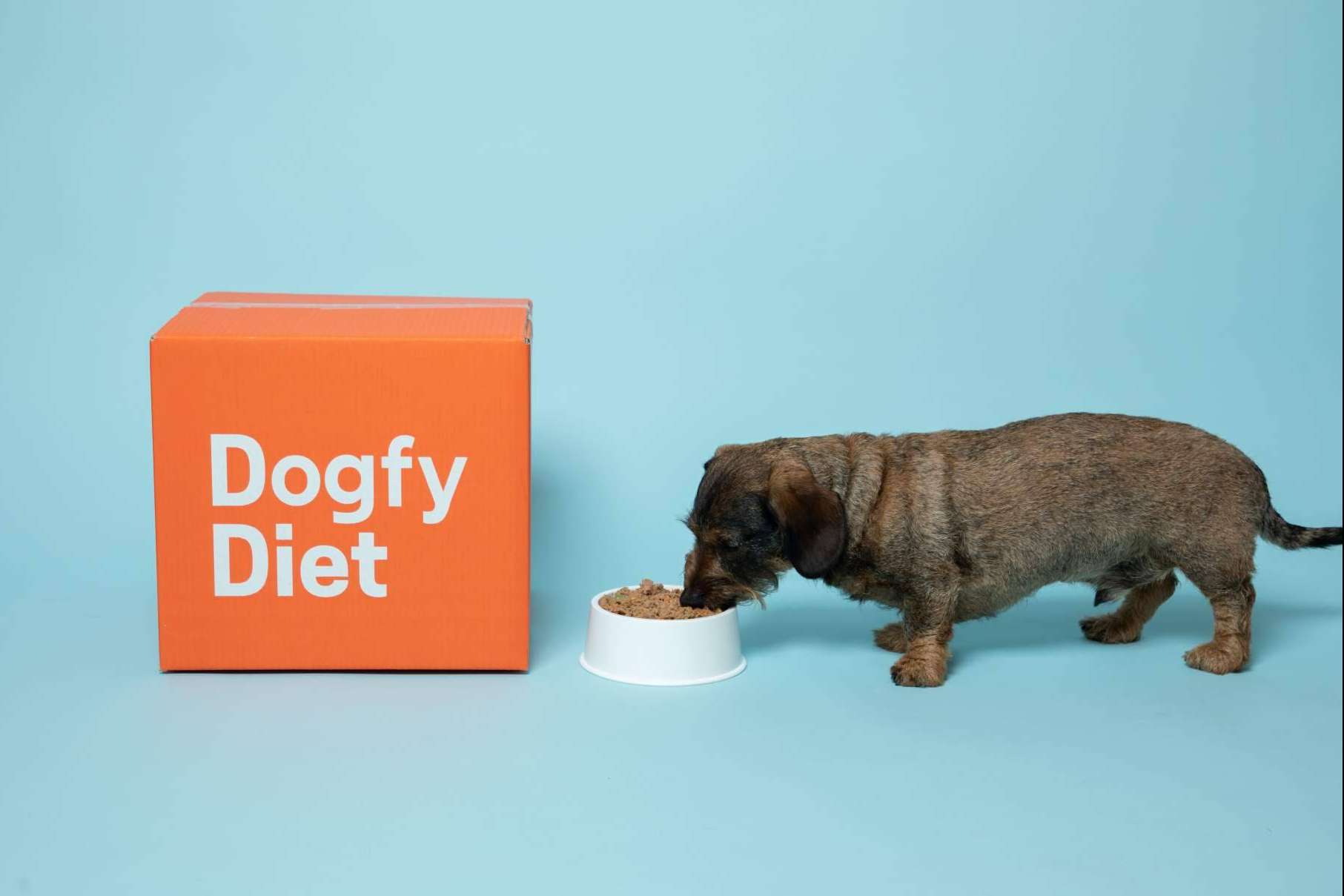 Revolucionando la nutrición canina; Dogfy Diet lidera con soluciones naturales para la alimentación de perros