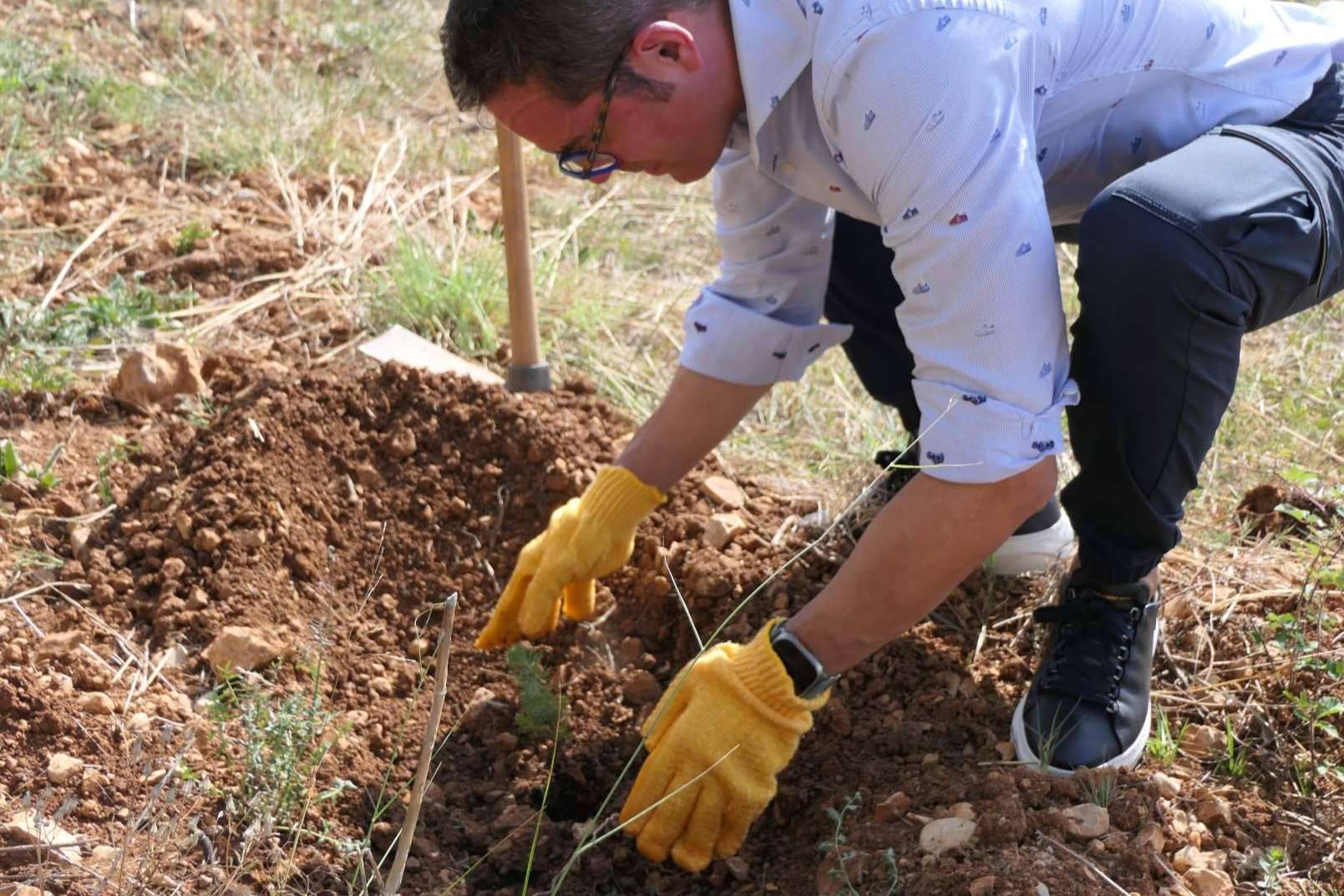 El nuevo bosque de 'Juega tu papel' se planta en Pego, Alicante