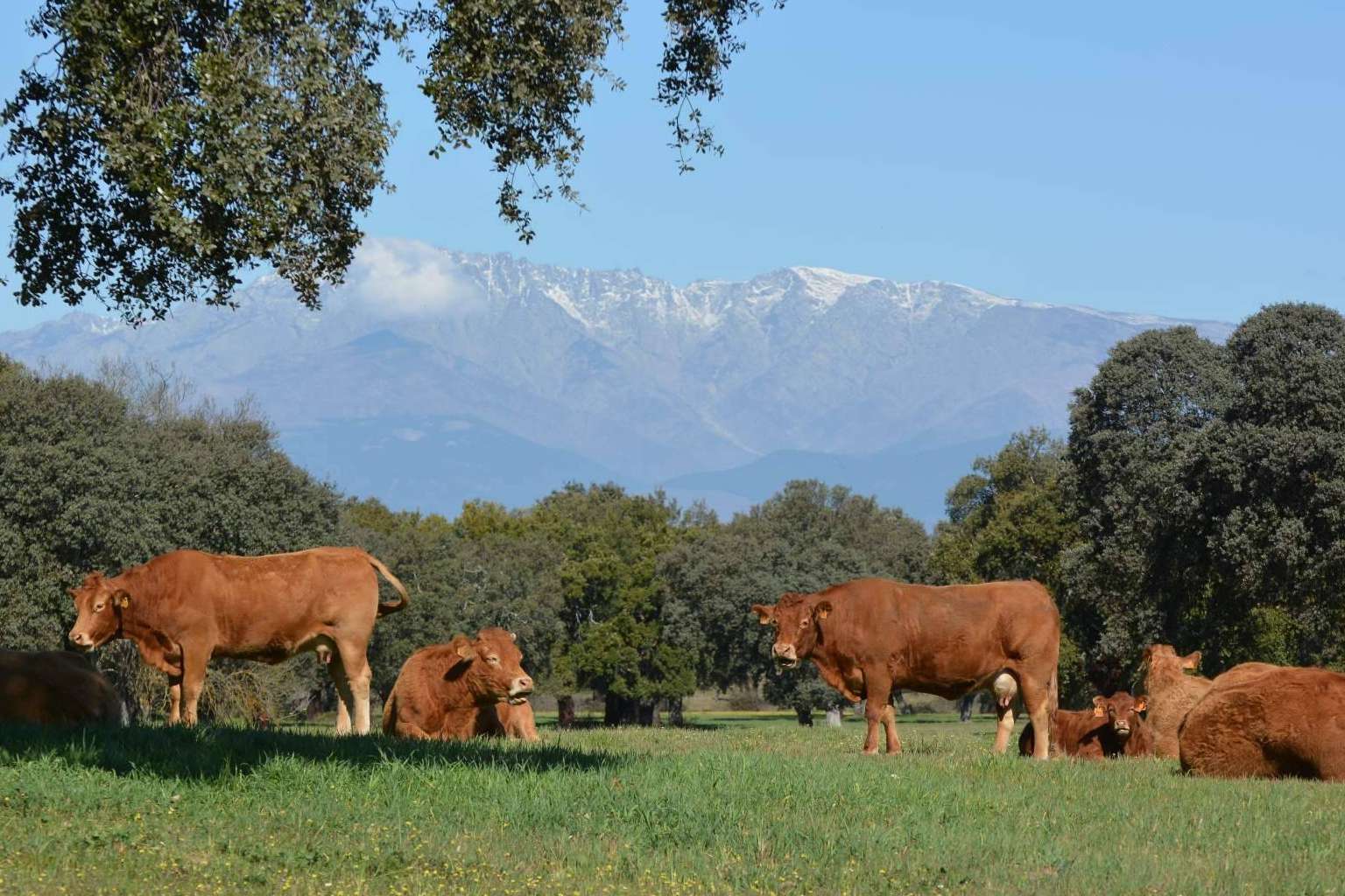 La puesta en valor del campo es la clave de la inversión