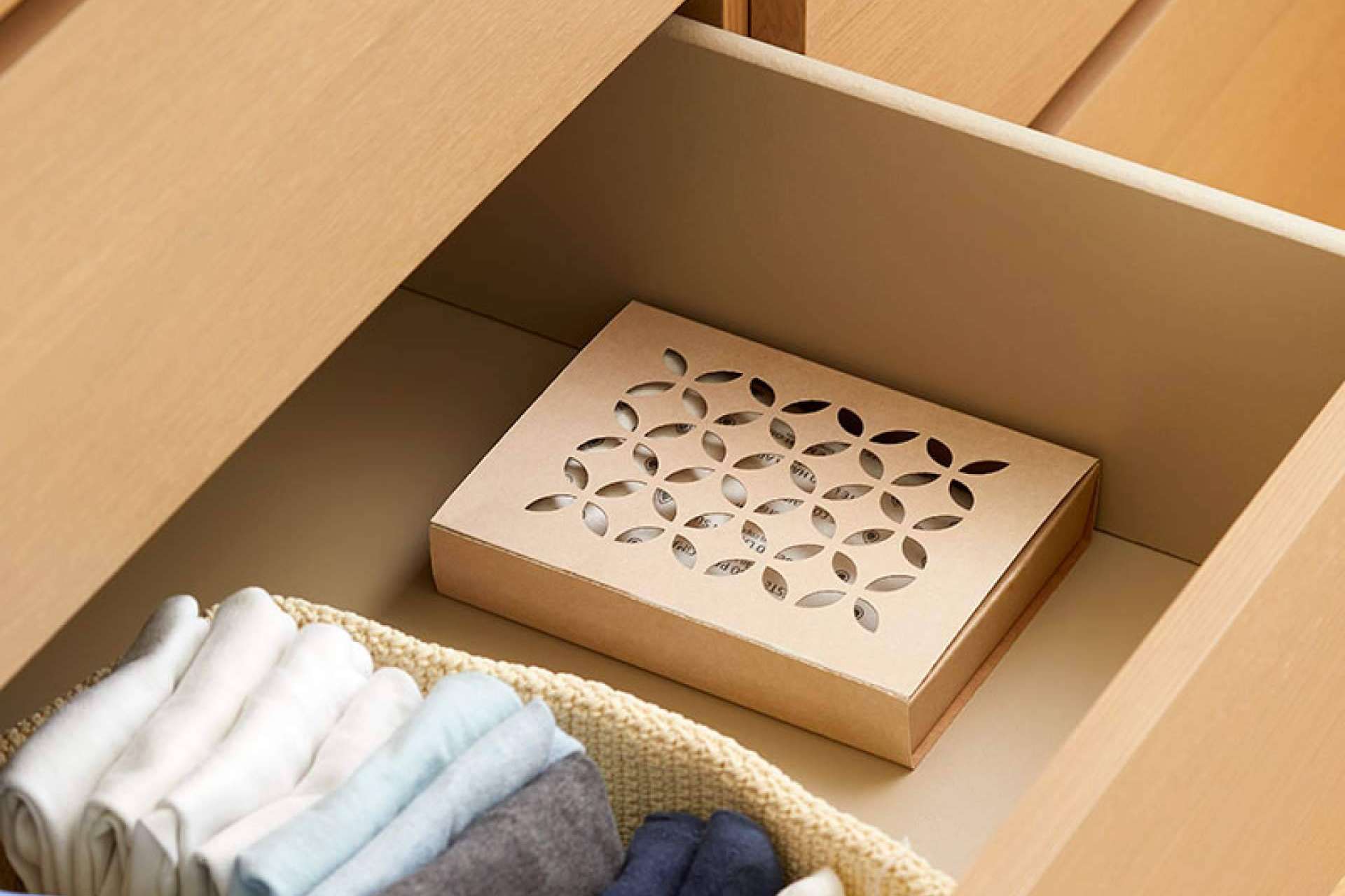 Lanzamiento Eco-box de Humydry, el antihumedad sostenible del mercado