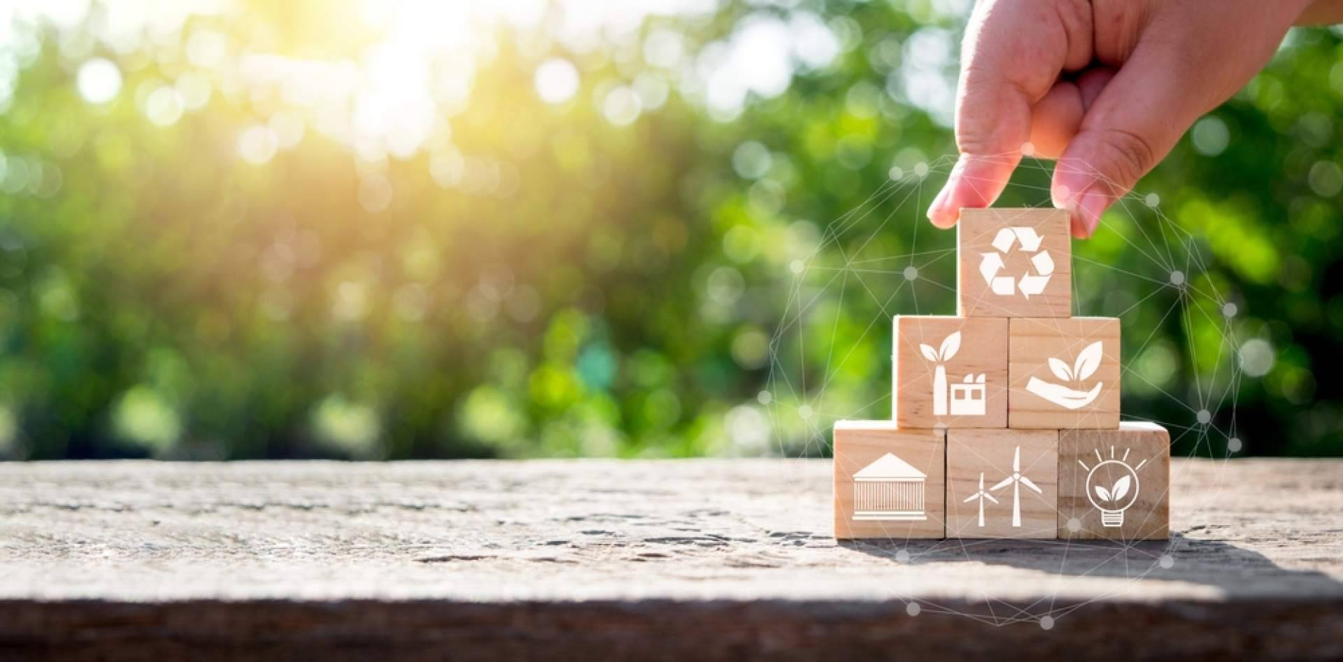 Eseo Renovables se especializa en consultoría energética para grandes consumidores